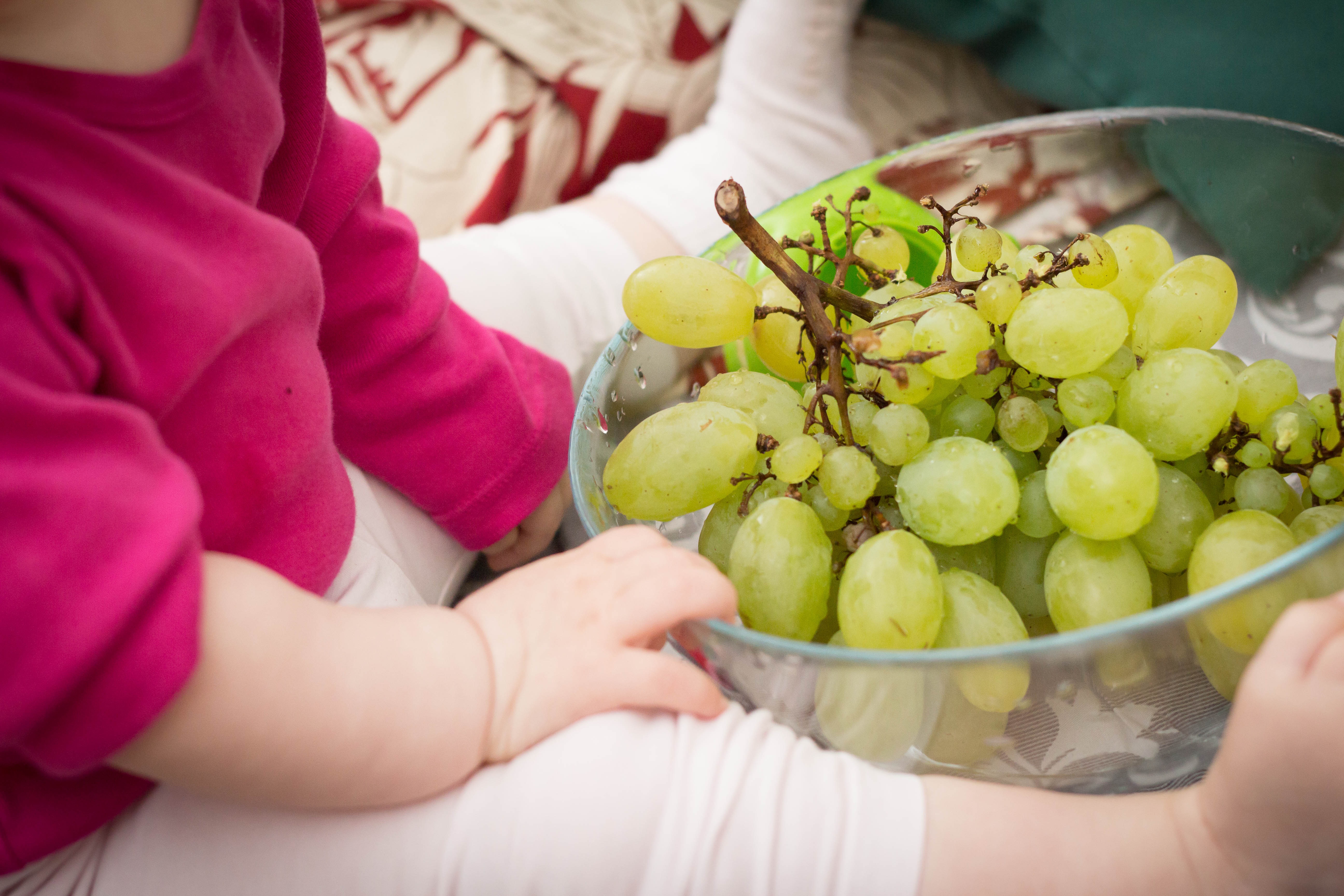 Baby with grapes free image download