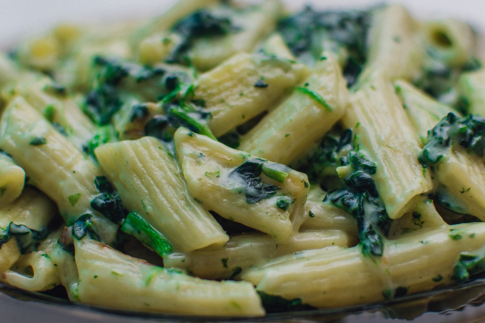 Macro view of Penne Pasta Food free image download