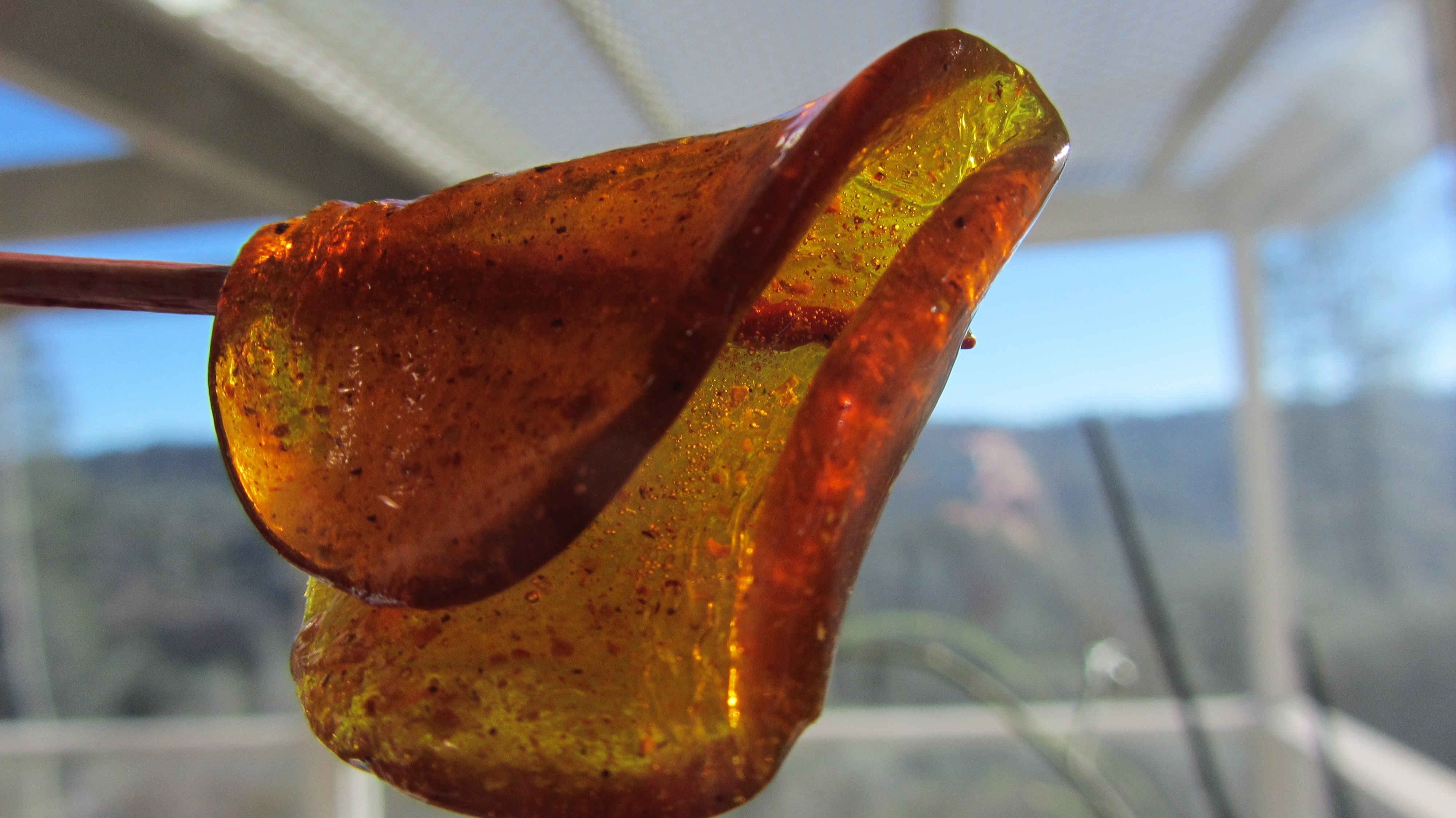 Hard Candy Translucent free image download