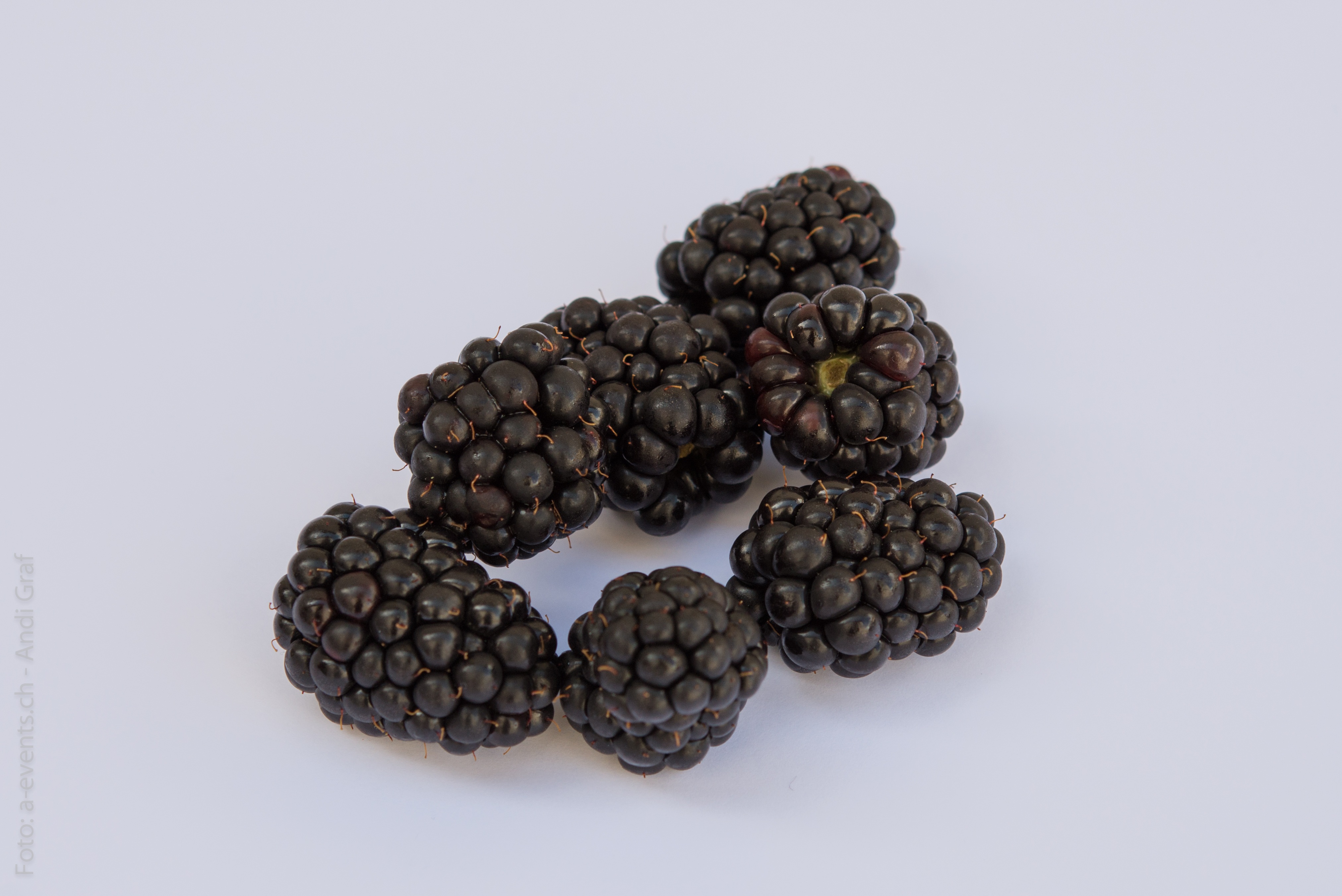 Blackberries Fruits Berries free image download