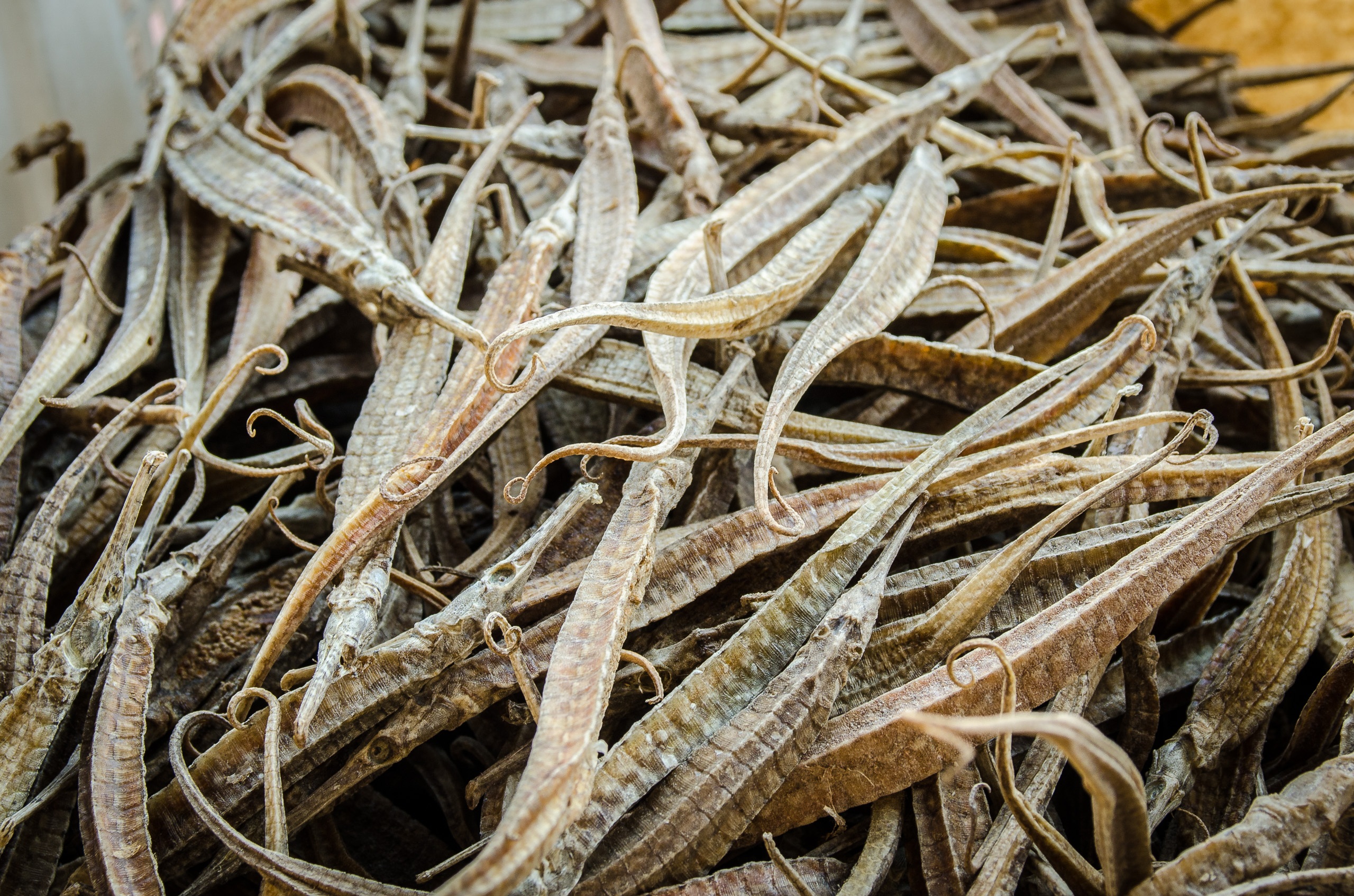 Dried seafood free image download