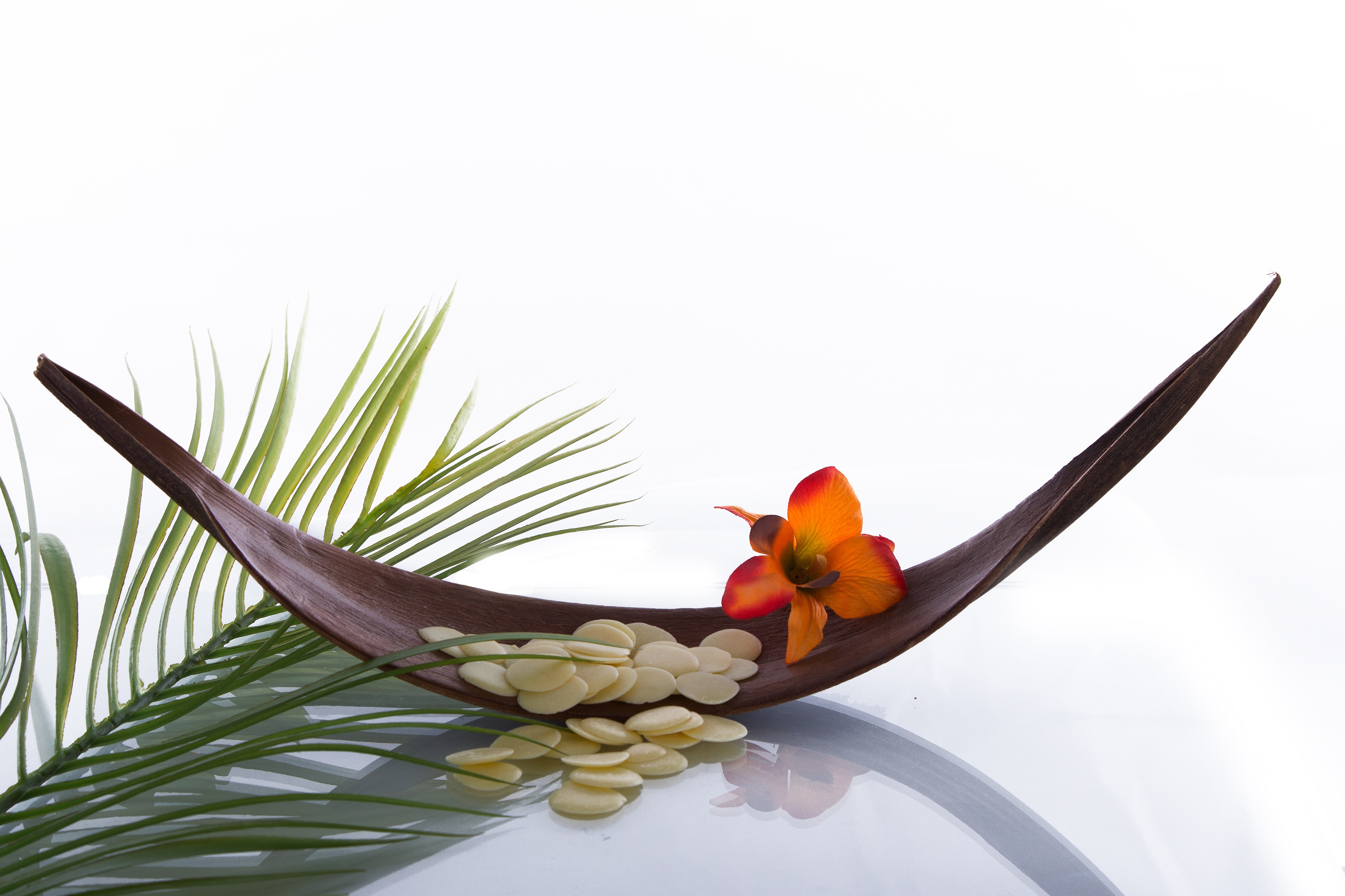 Decoration with flowers and seeds free image download