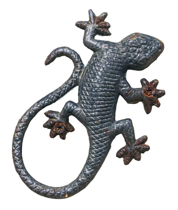Metal Lizard, Wall Decoration free image download