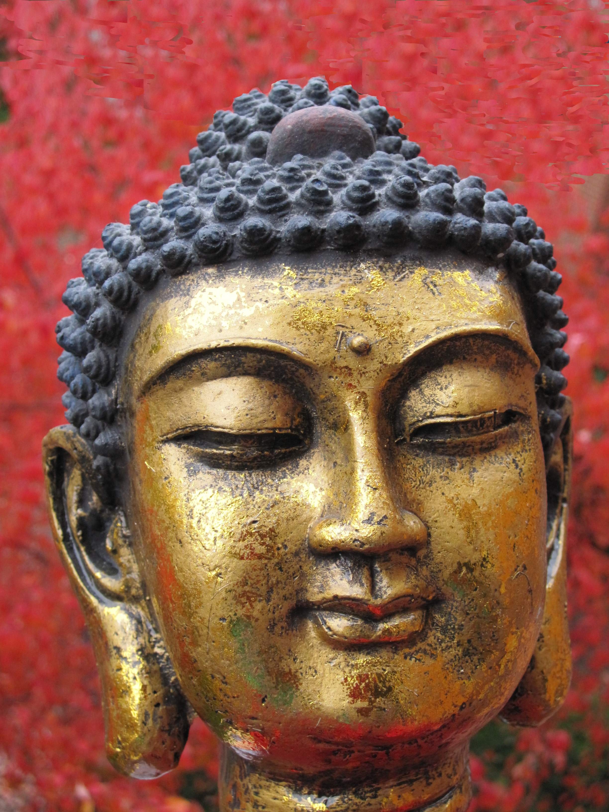 Siddhartha Gautama Buddha face free image download
