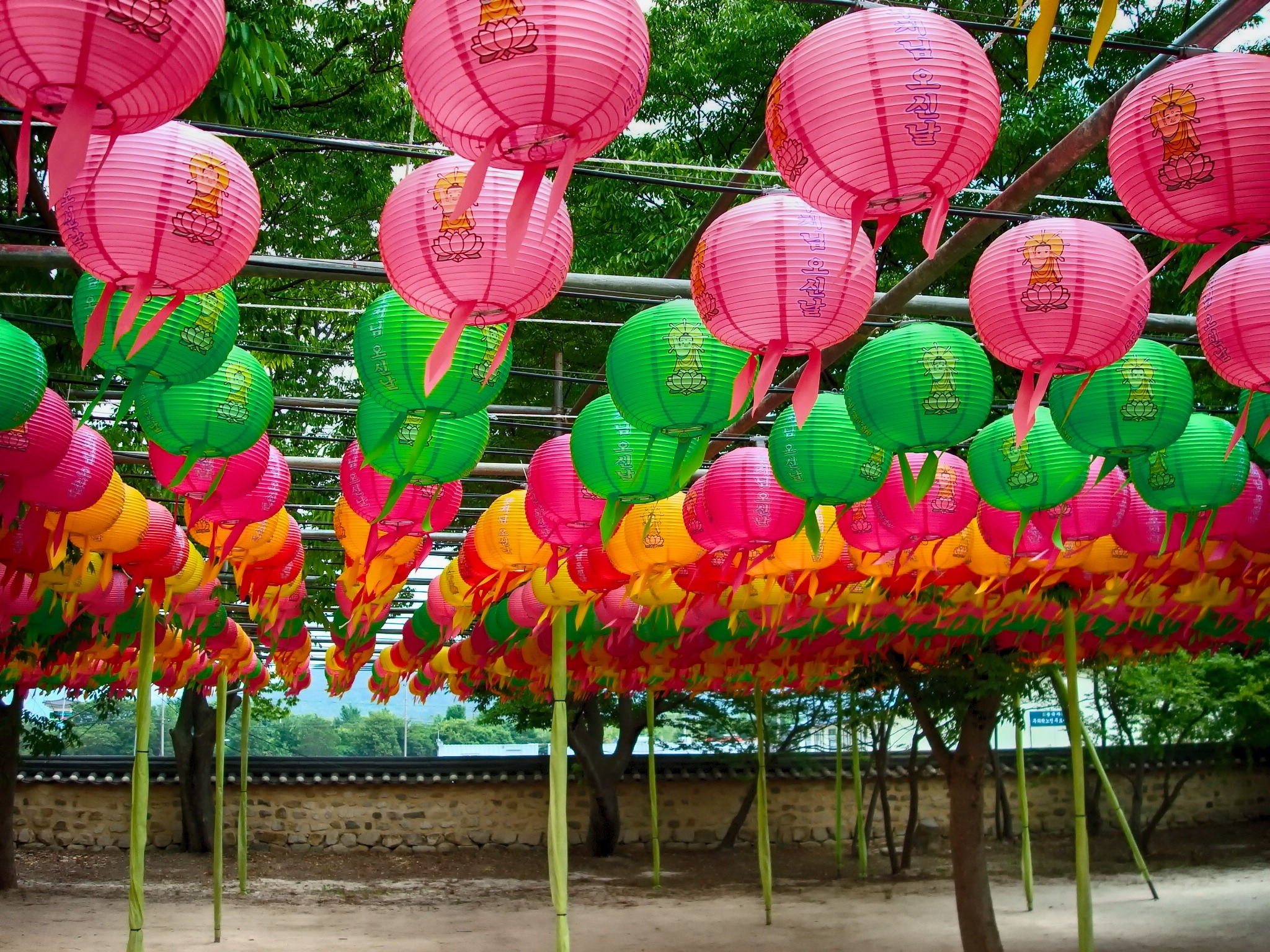 Paper lanterns of different colors in korea free image download