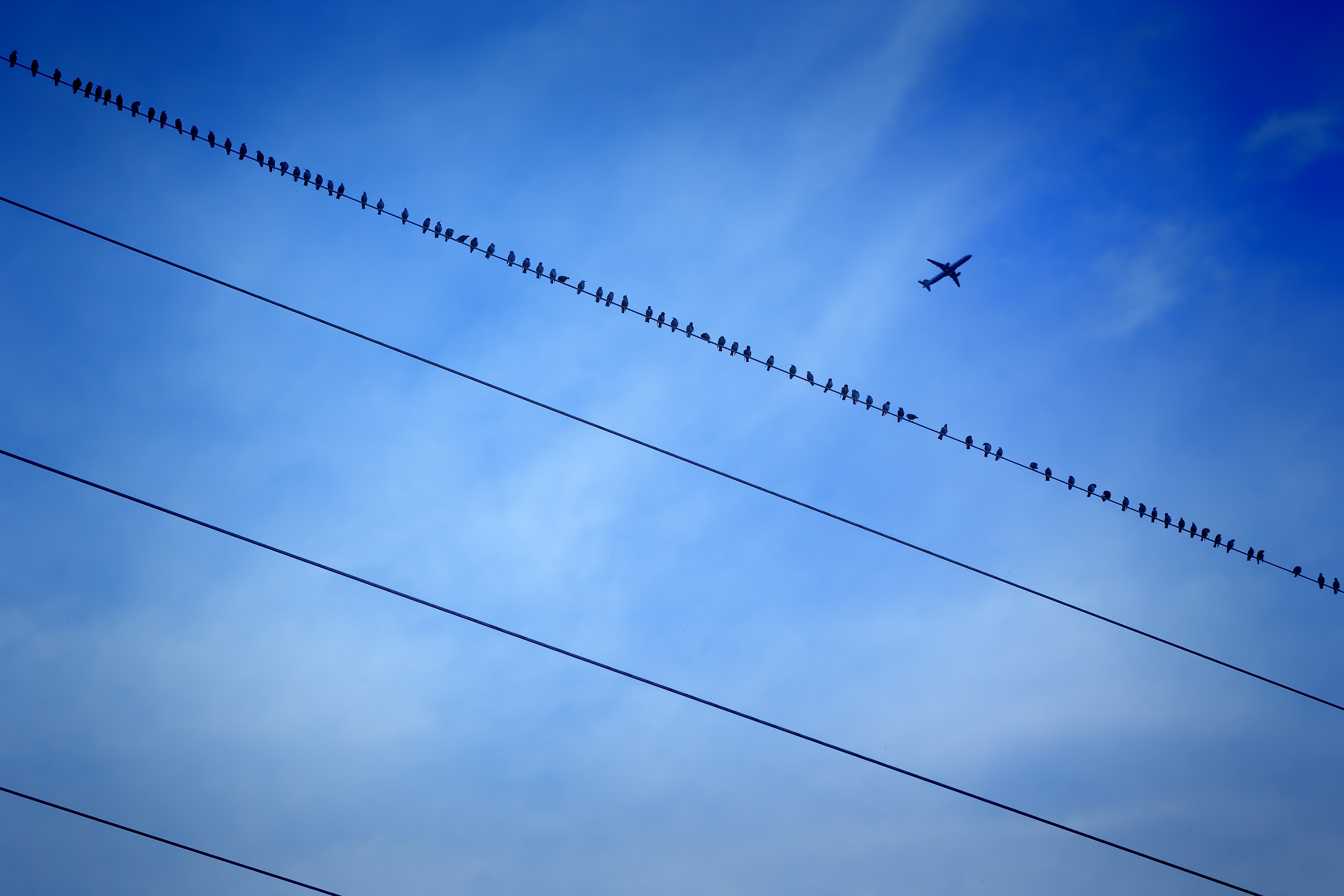 Airplane on electric wires free image download