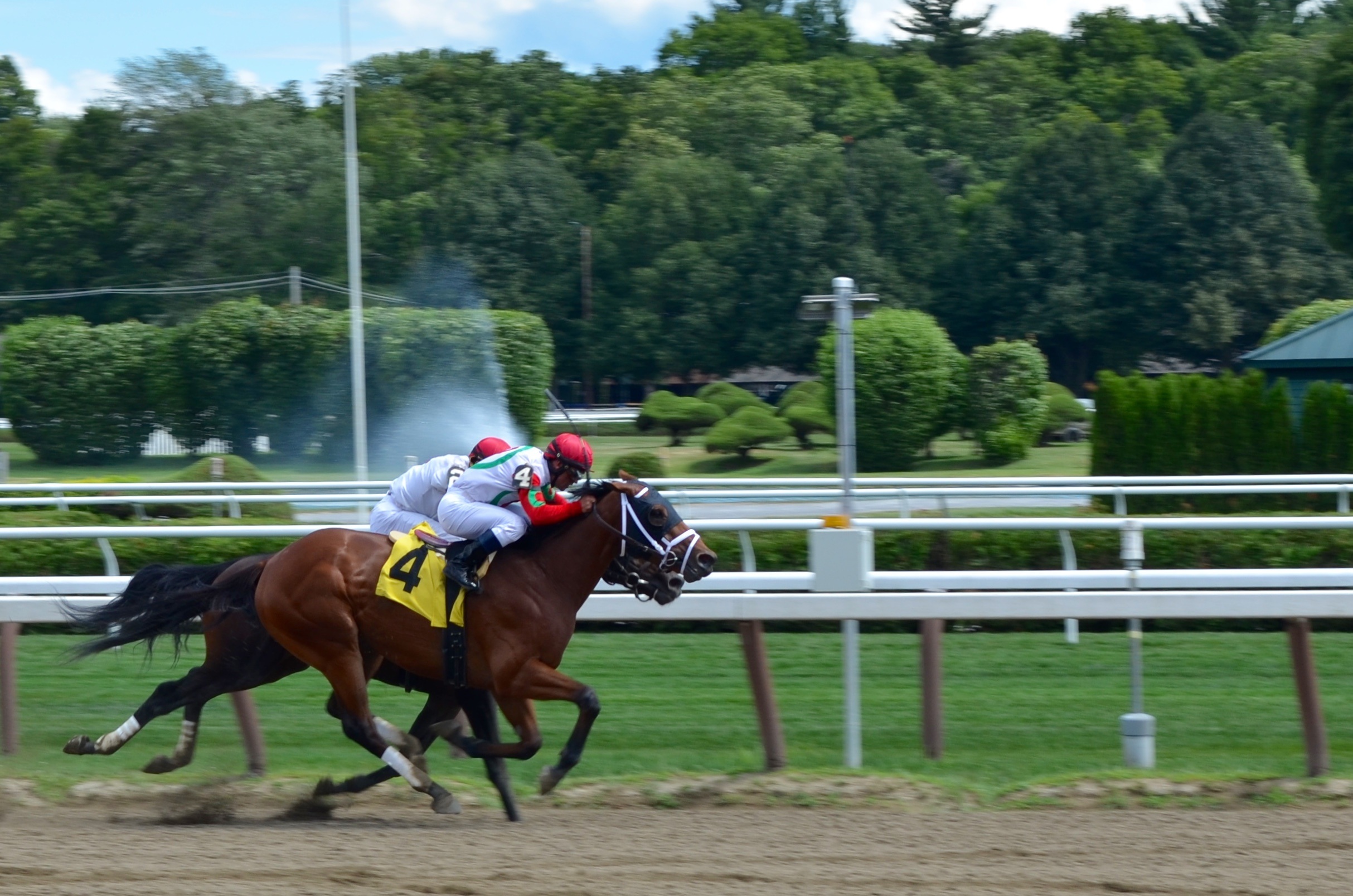 Horse speed race free image download