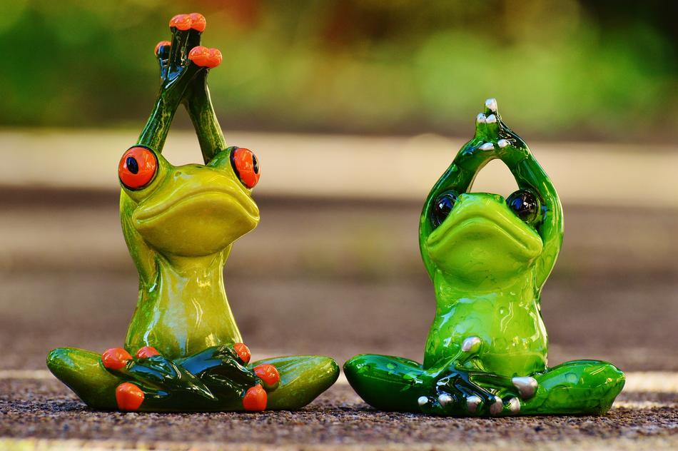 Funny toy Frogs doing Yoga exercise free image download