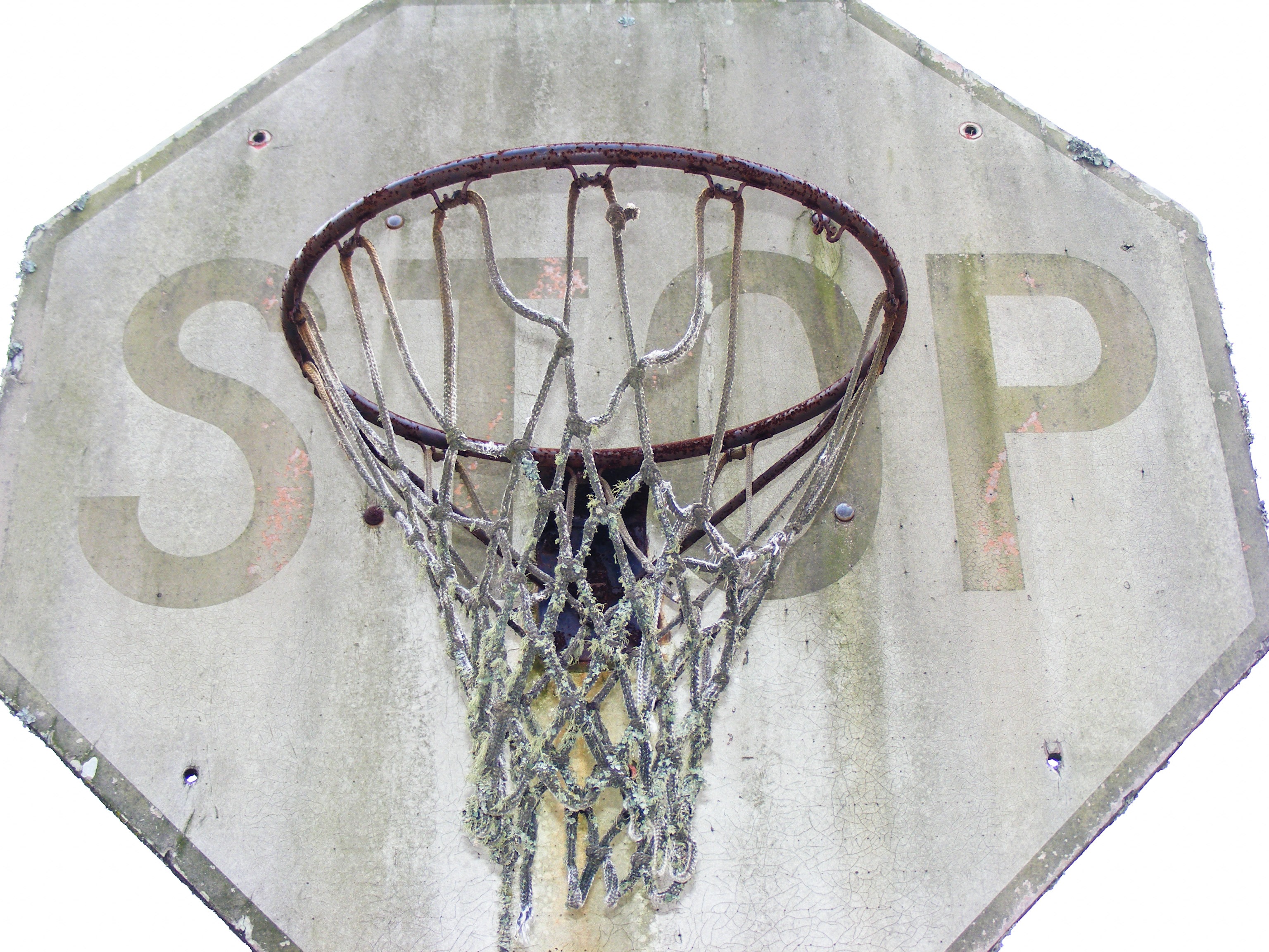 Basketball basket fixed at stop traffic sign free image download