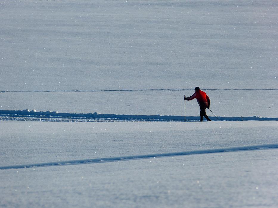 Cross Country Skiing on Snow Trail free image download