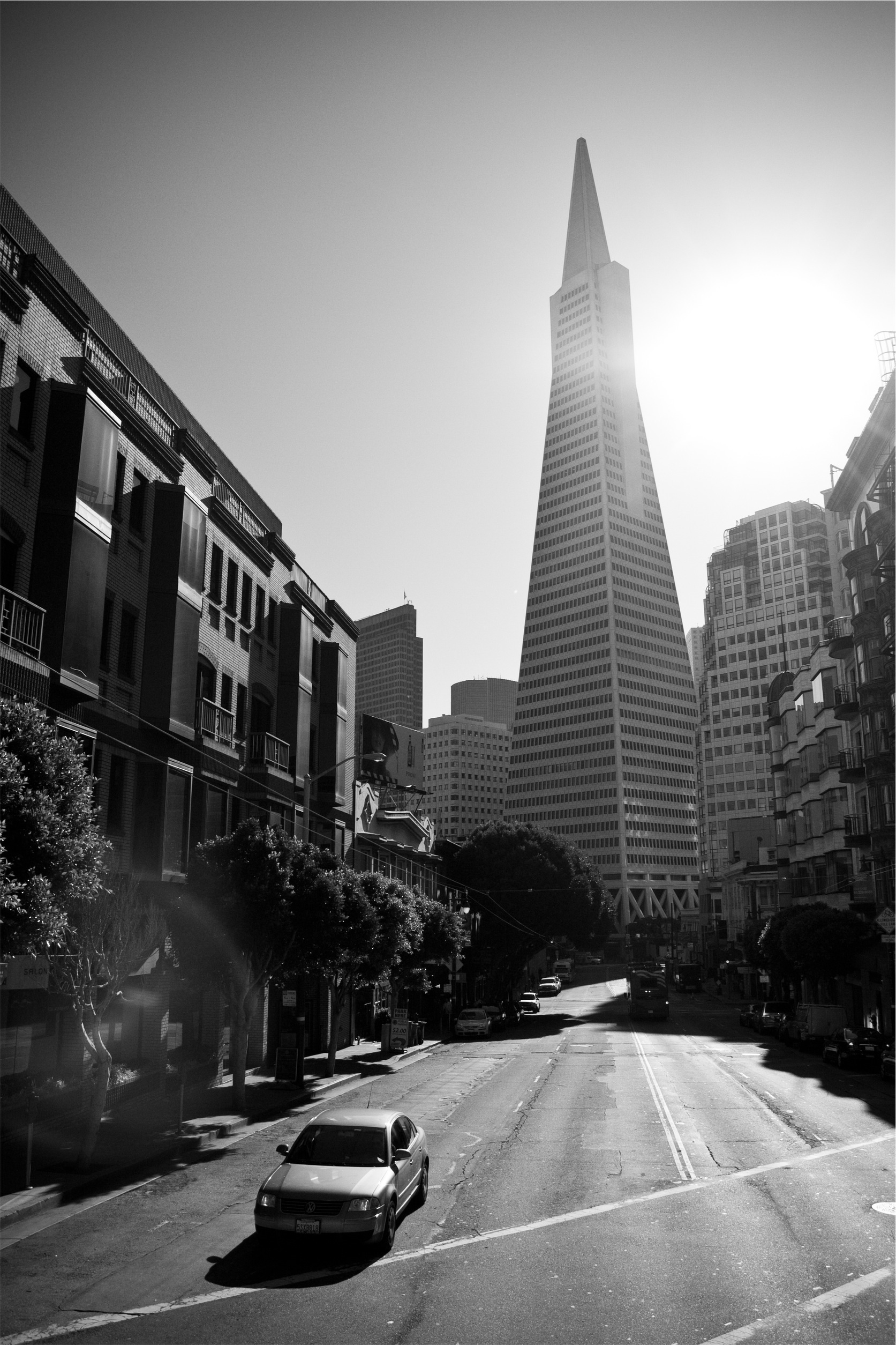 San Francisco City Buildings free image download