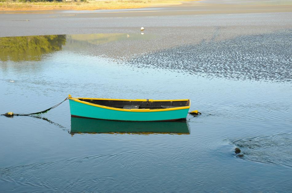 Canoe Lake Paddle free image download