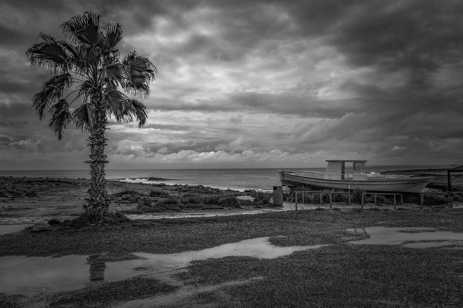 Black and white photo of the beautiful landscape of the beach, with the