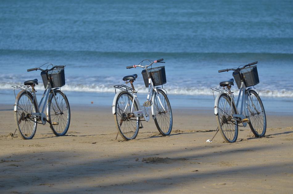 Bicycle Rental Beach free image download