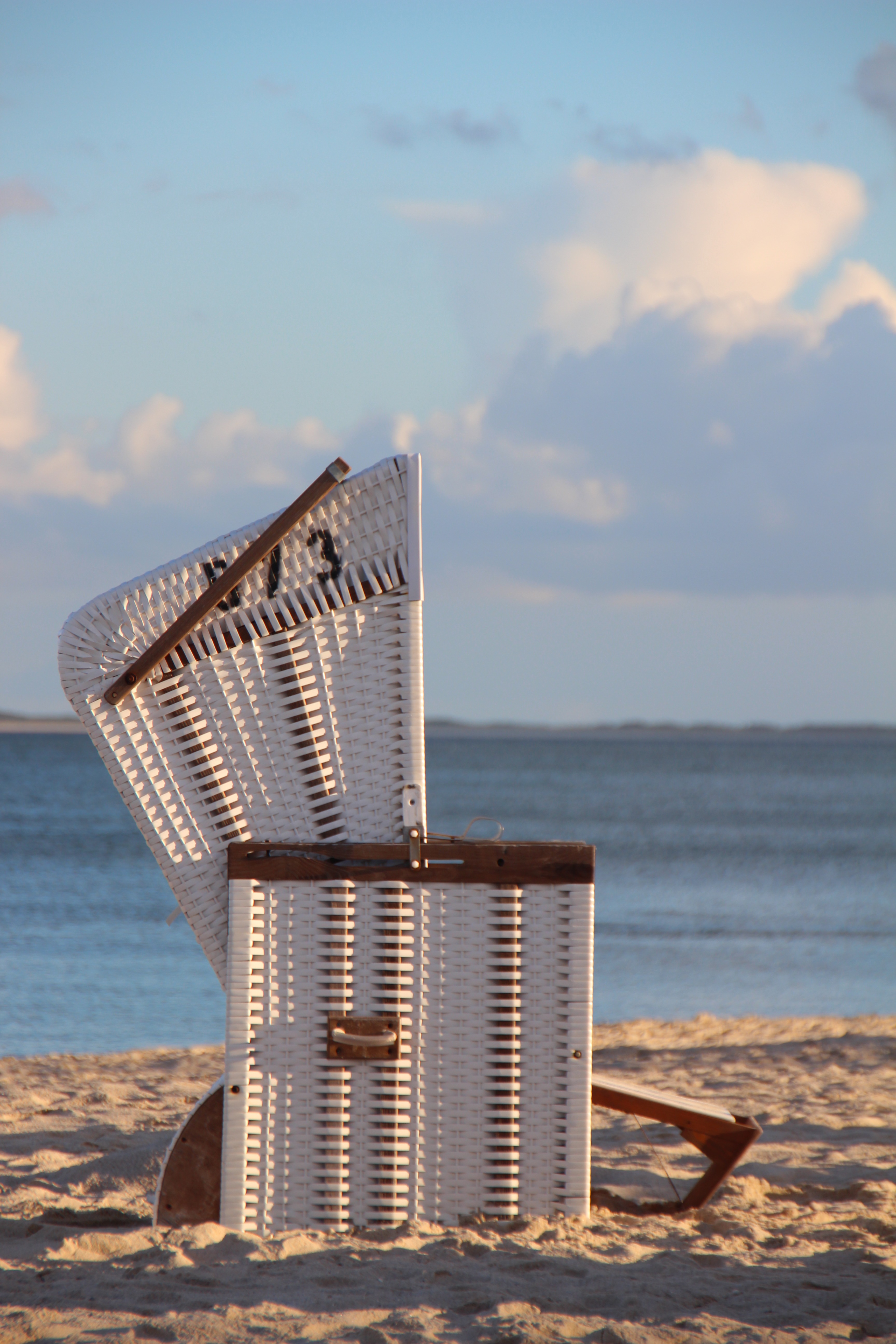 Roofed Wicker Beach Chair view free image download