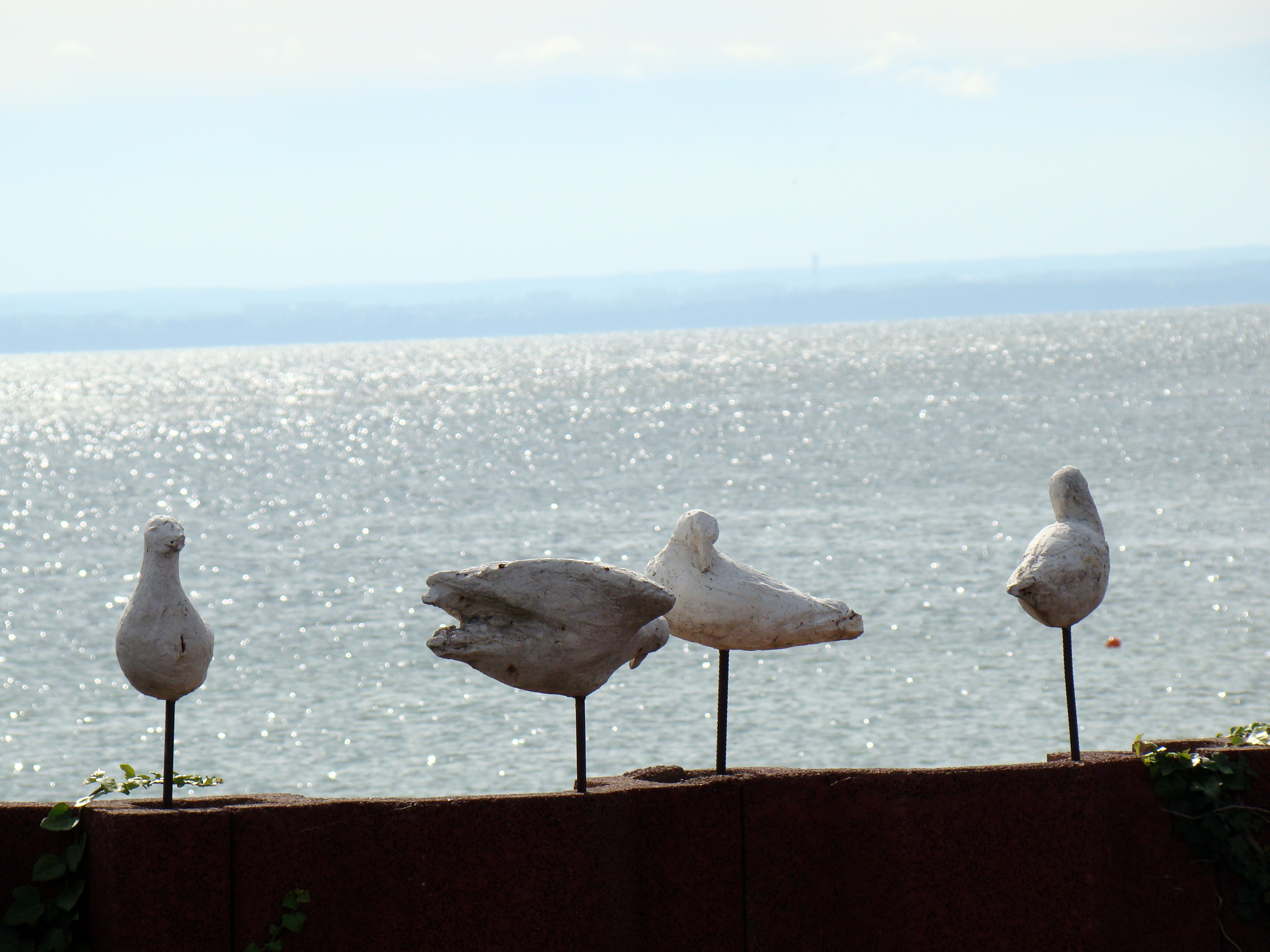 Artificial Birds The Seagulls free image download