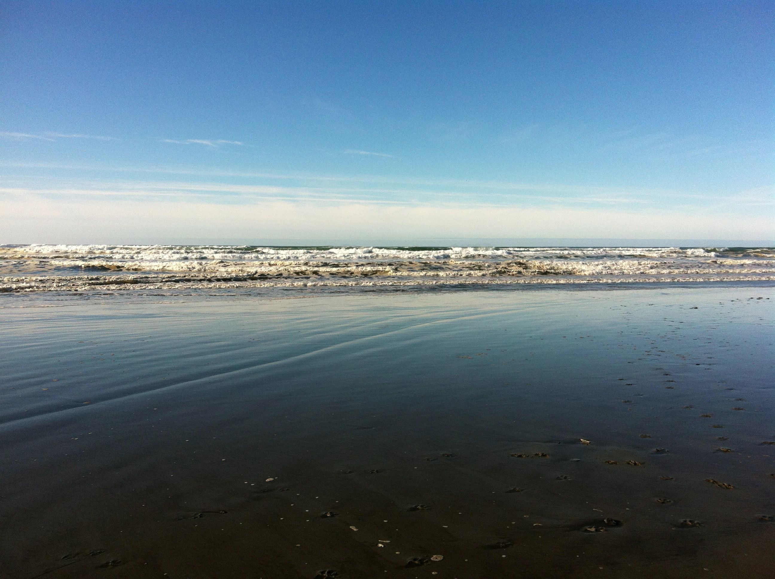 Long Beach Washington free image download