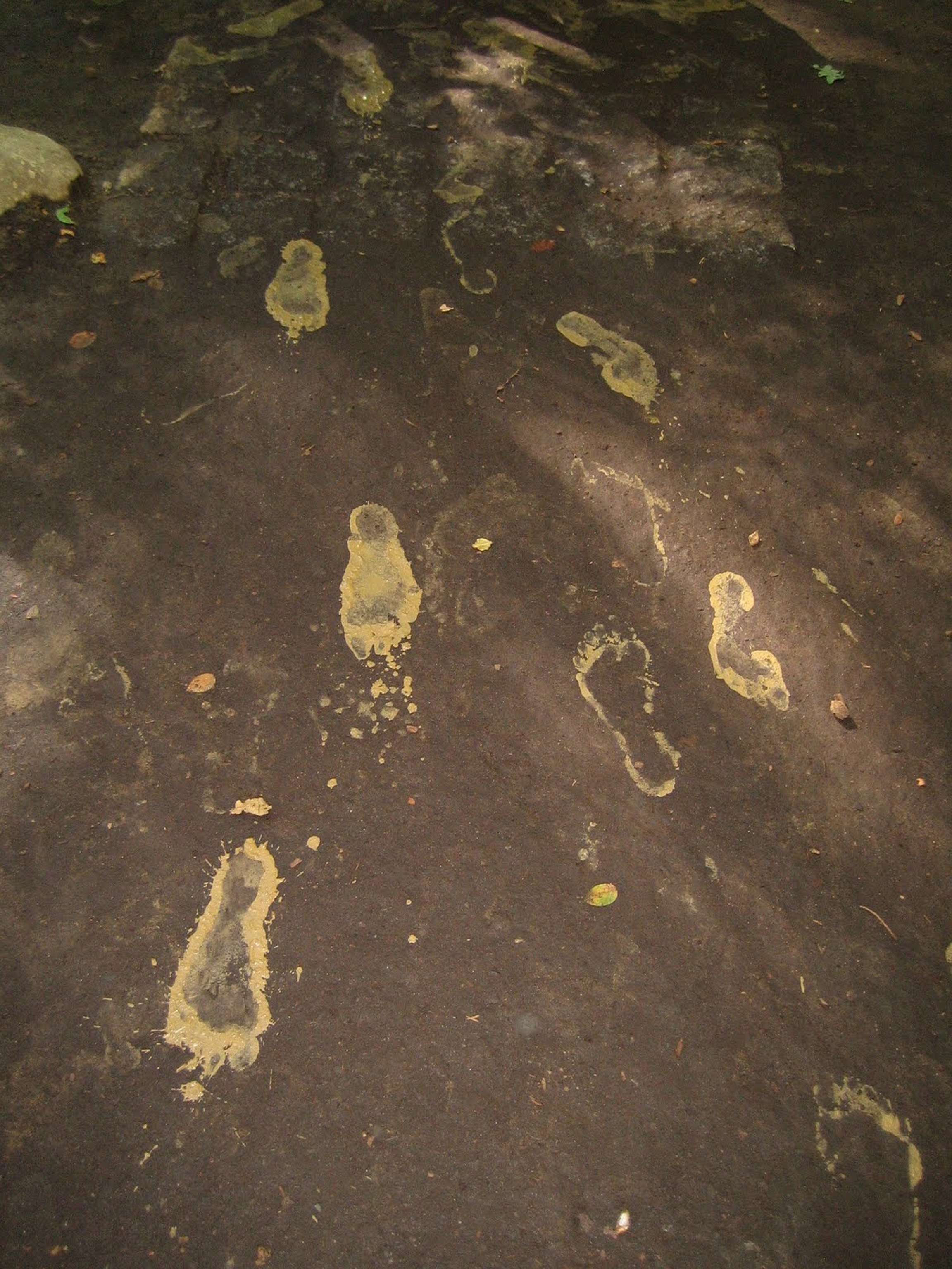 Footprints on Clay Wellness free image download
