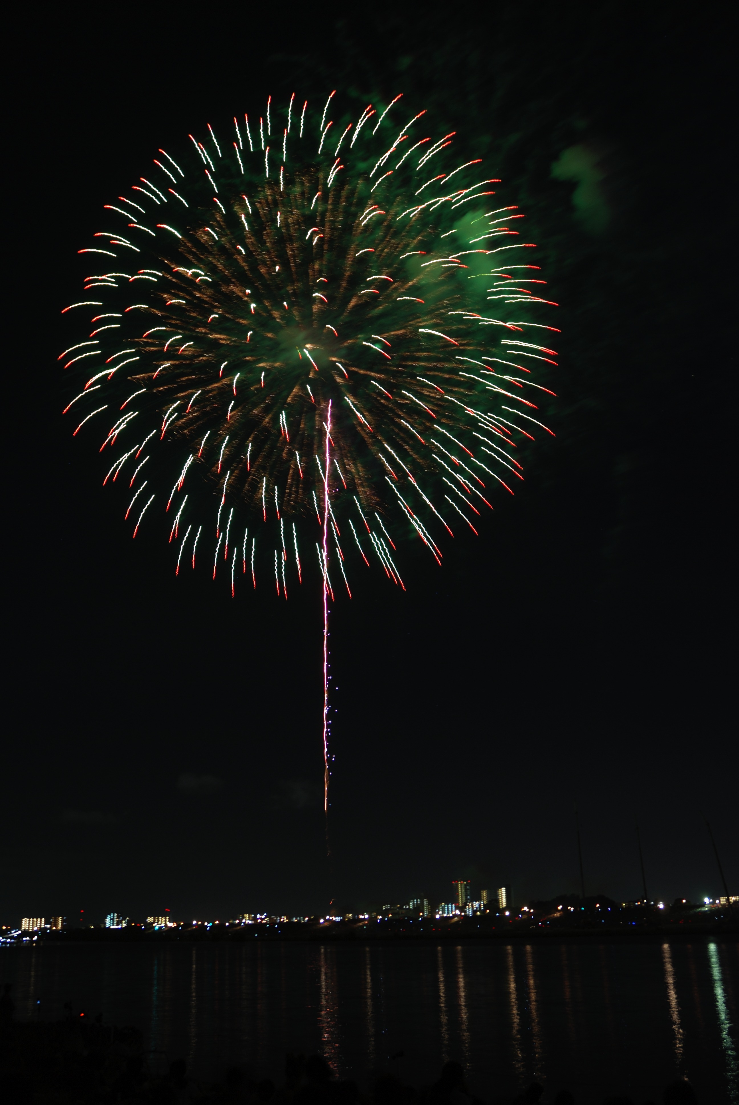 Green Flowers Fireworks at night free image download