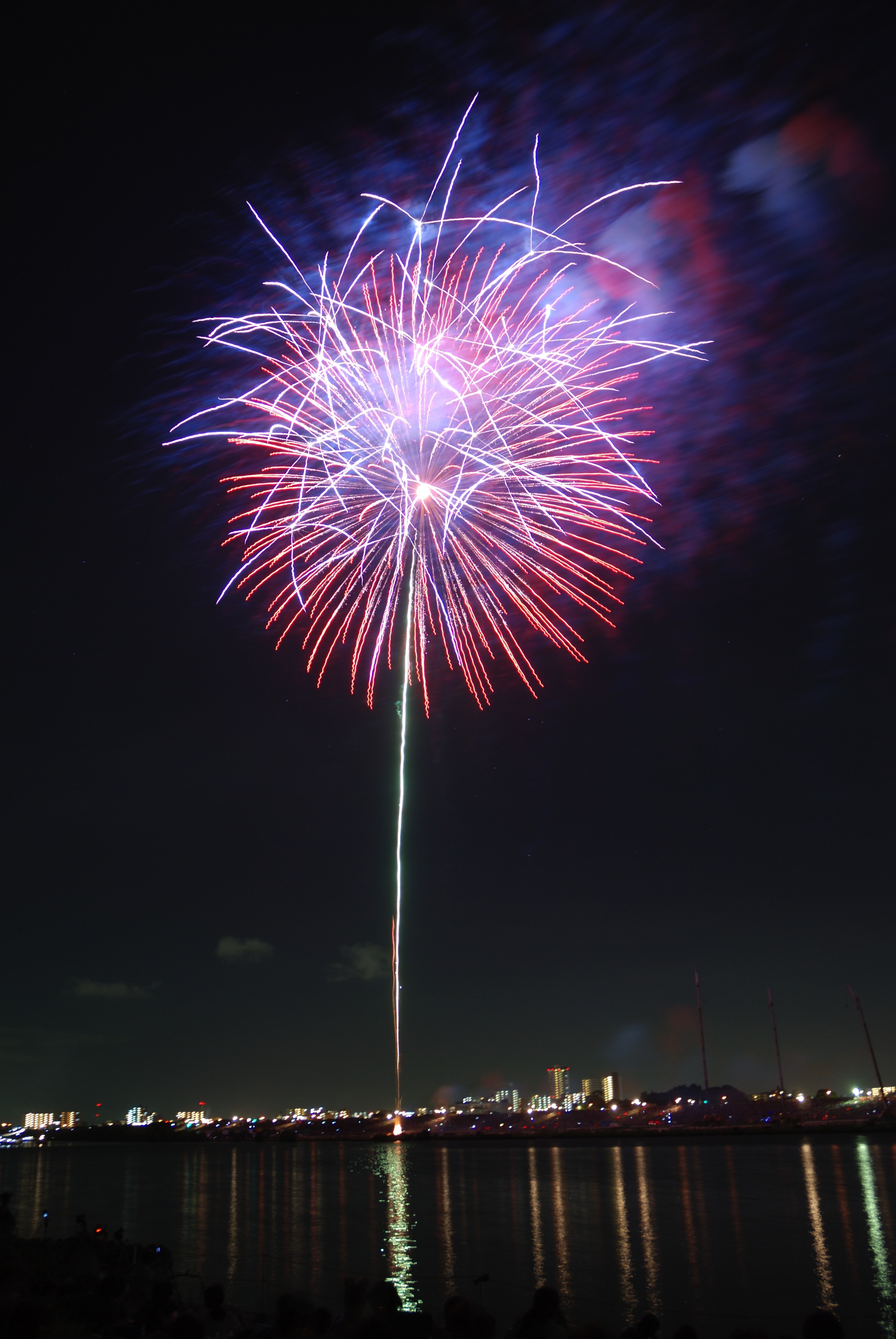Fireworks in the shape of colorful flowers free image download