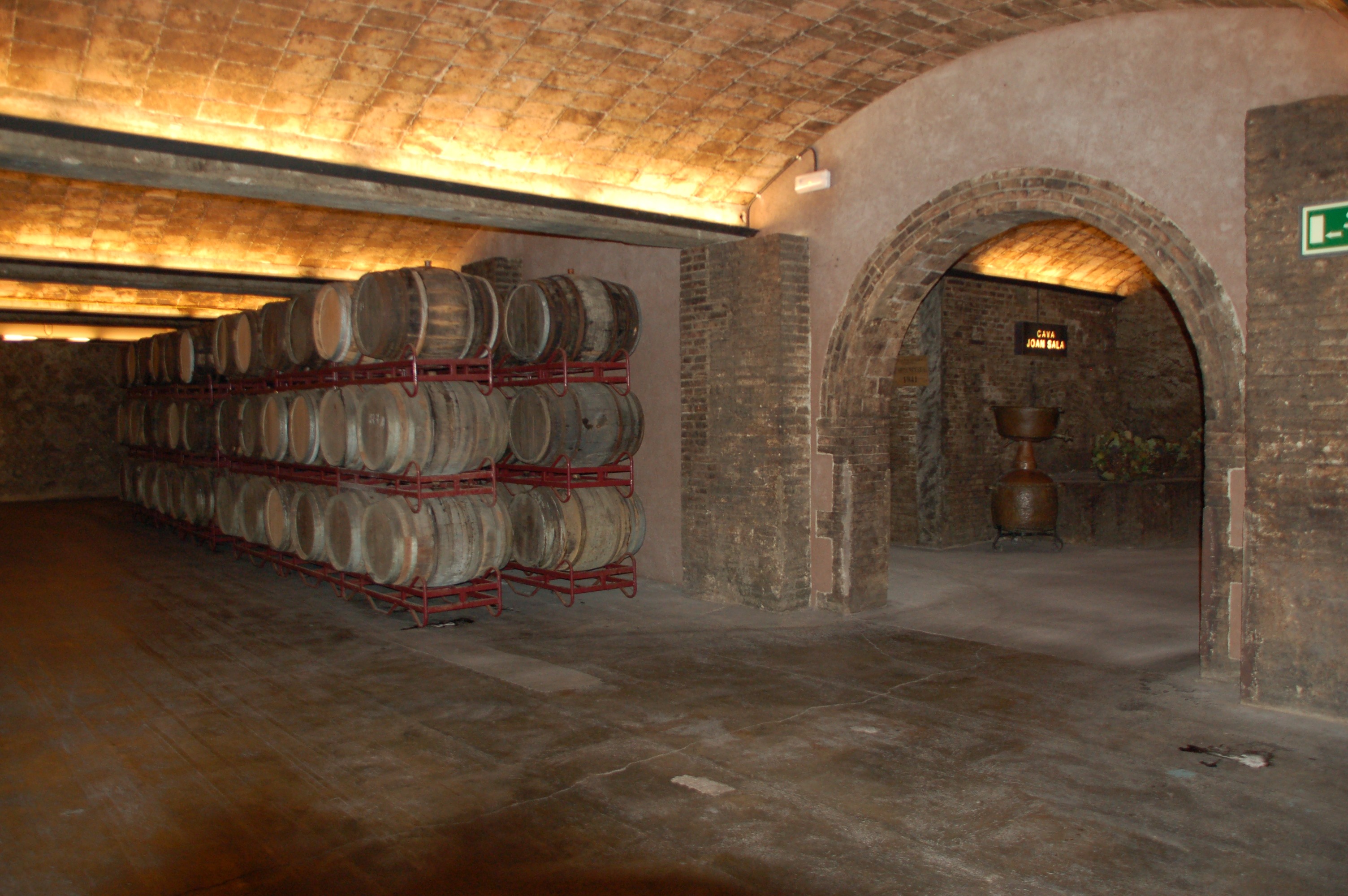 Wine Cellar in Spain free image download