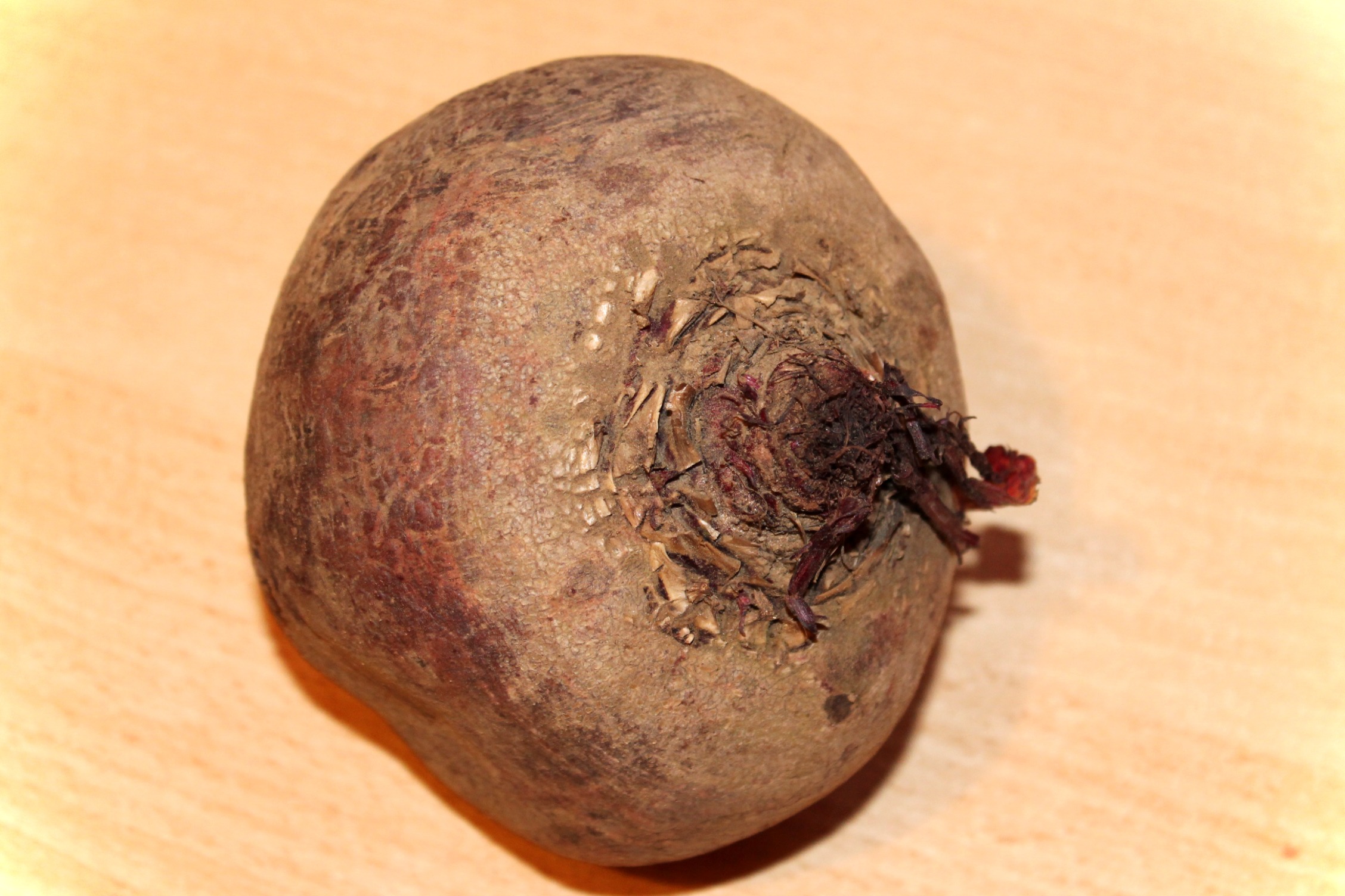 Beetroot Turnip Beet Of free image download