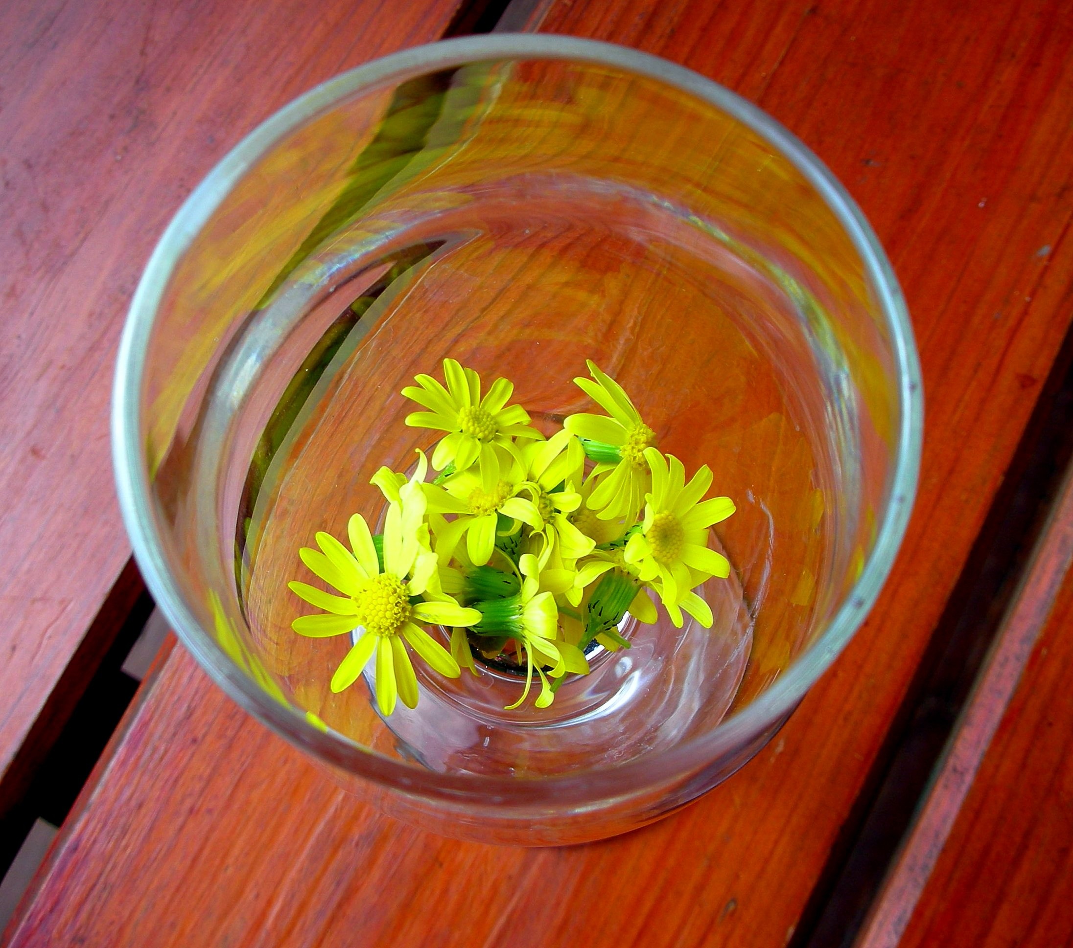 Fabulous Glass Flower Yellow free image download