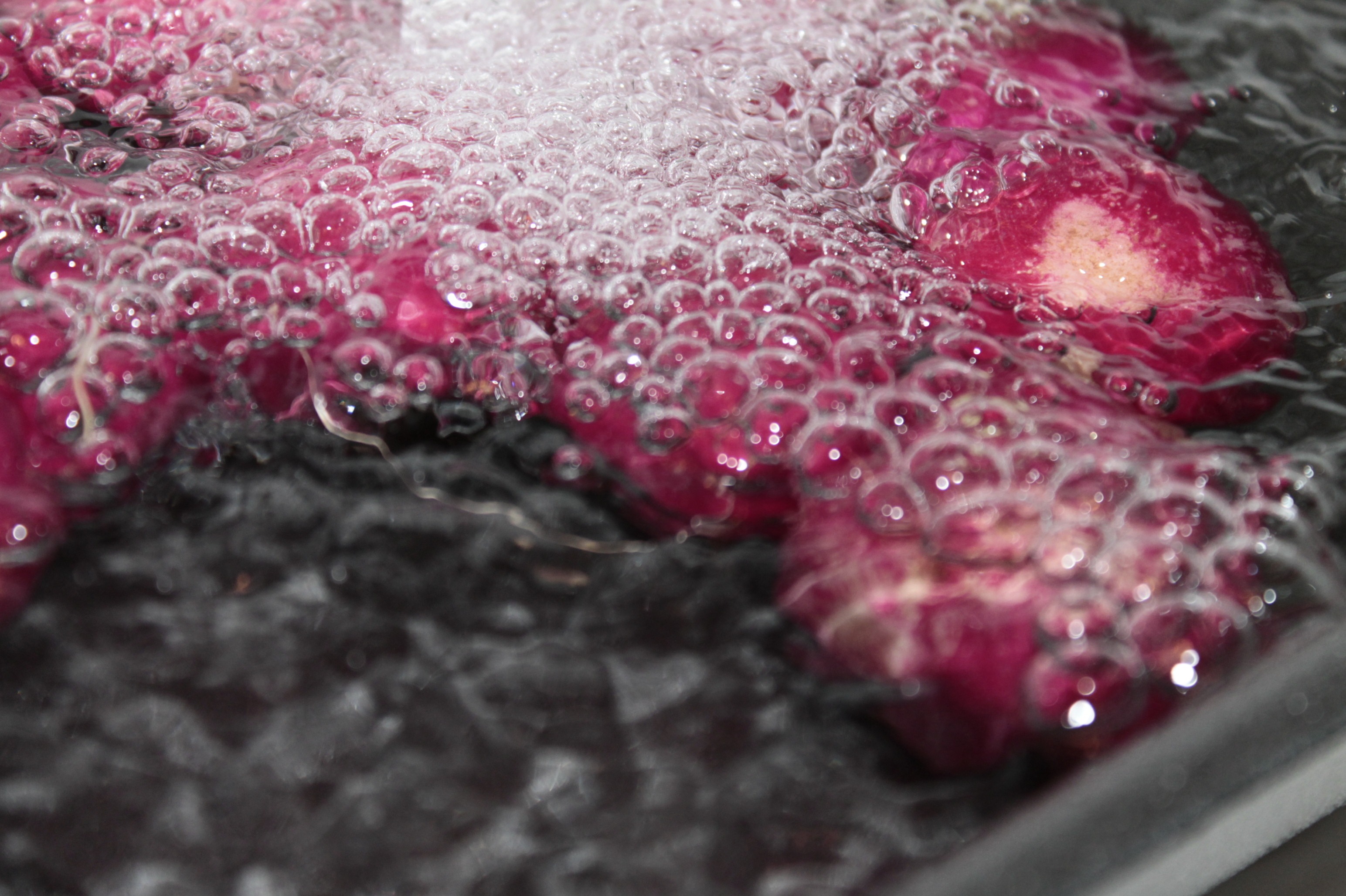 Air Water Bubbles free image download