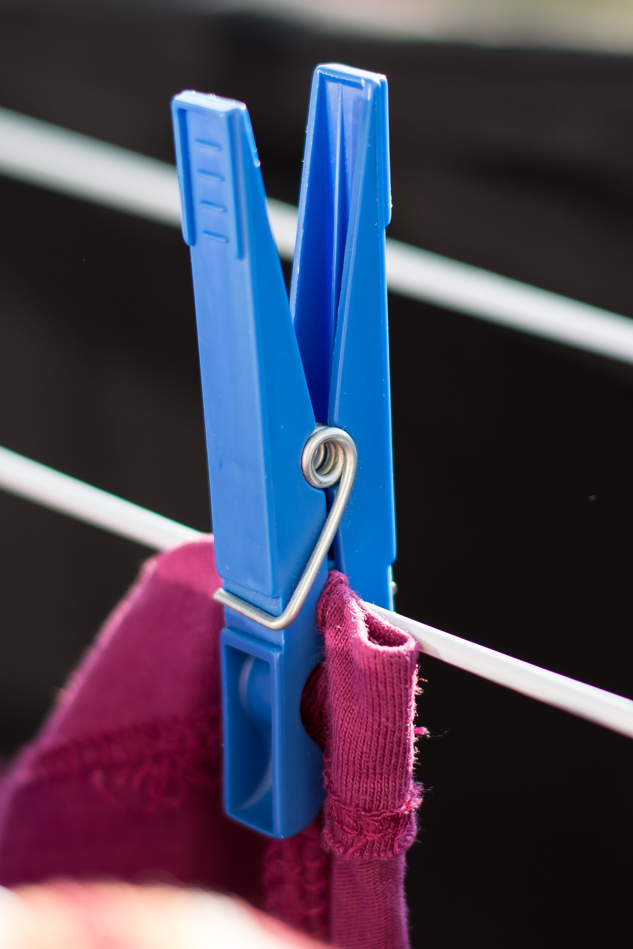 Clothes Peg Laundry Clip free image download