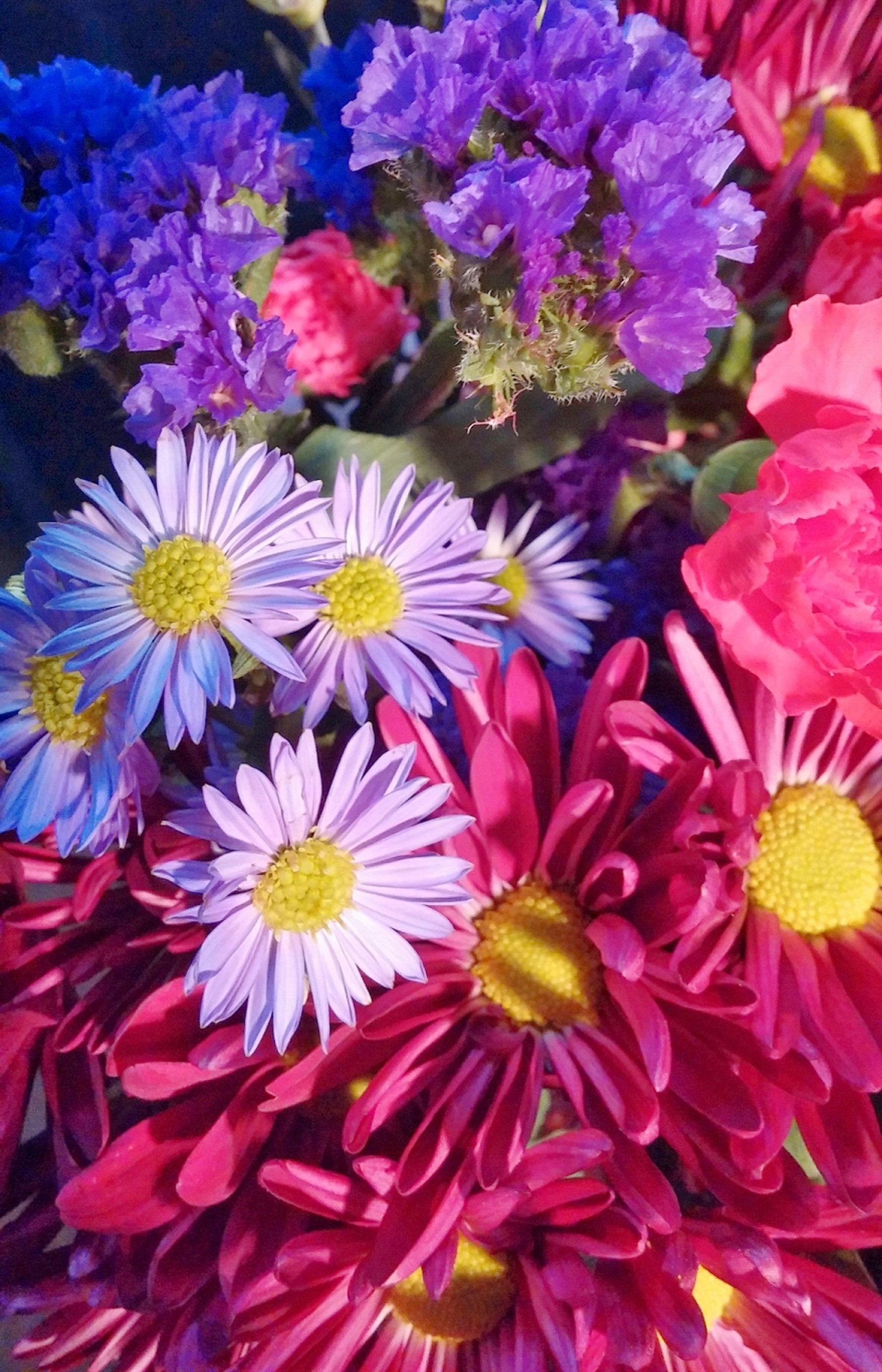 Flowers colors Spring free image download