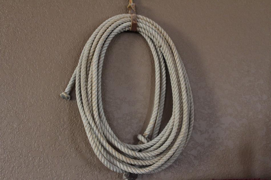 Lasso Cowboy Rope Western free image download