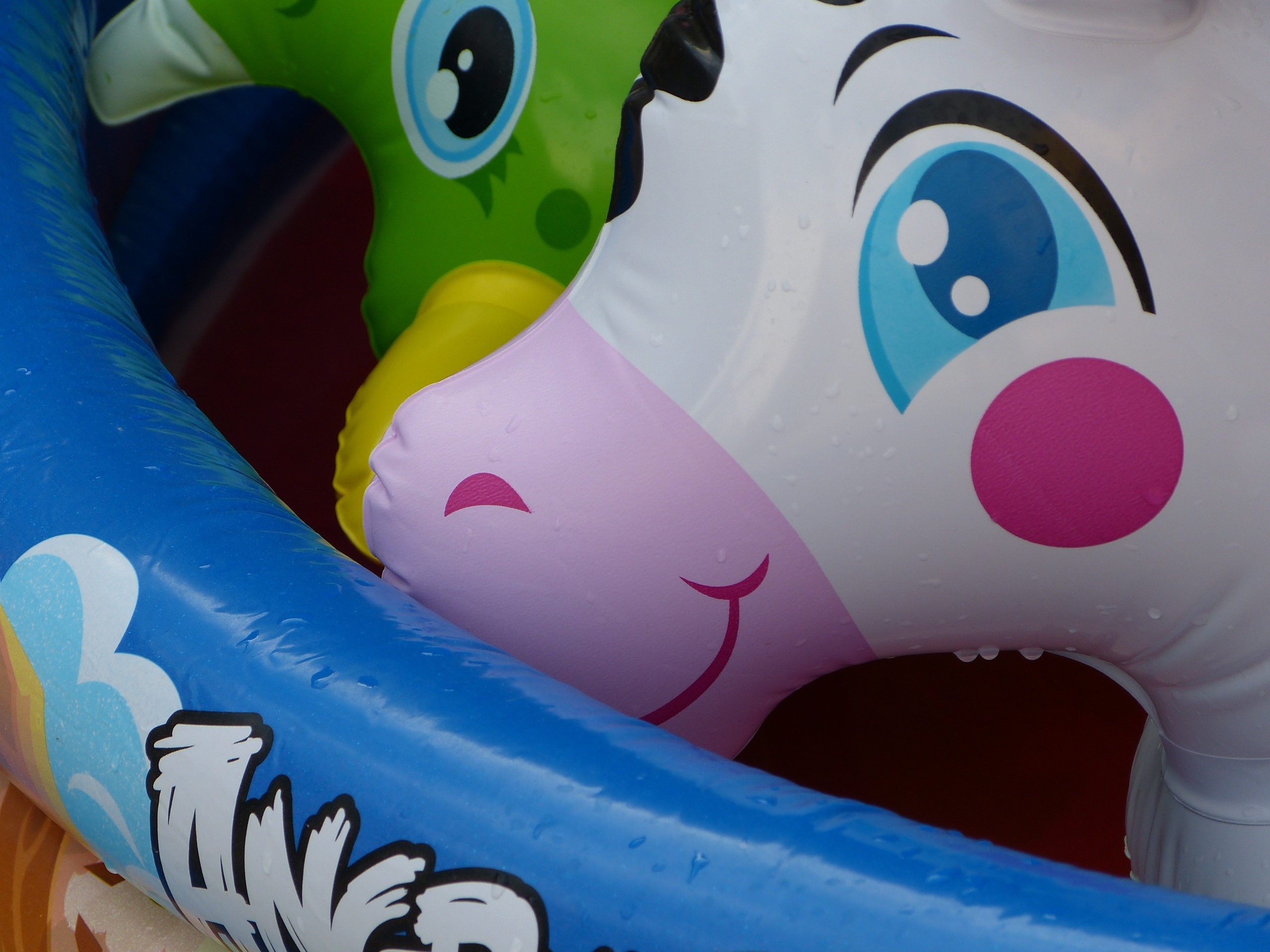 Pool Inflatable Toy free image download