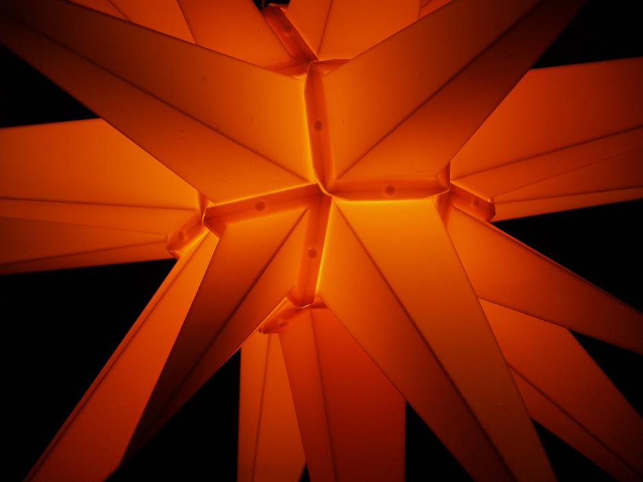 Poinsettia Christmas Star free image download