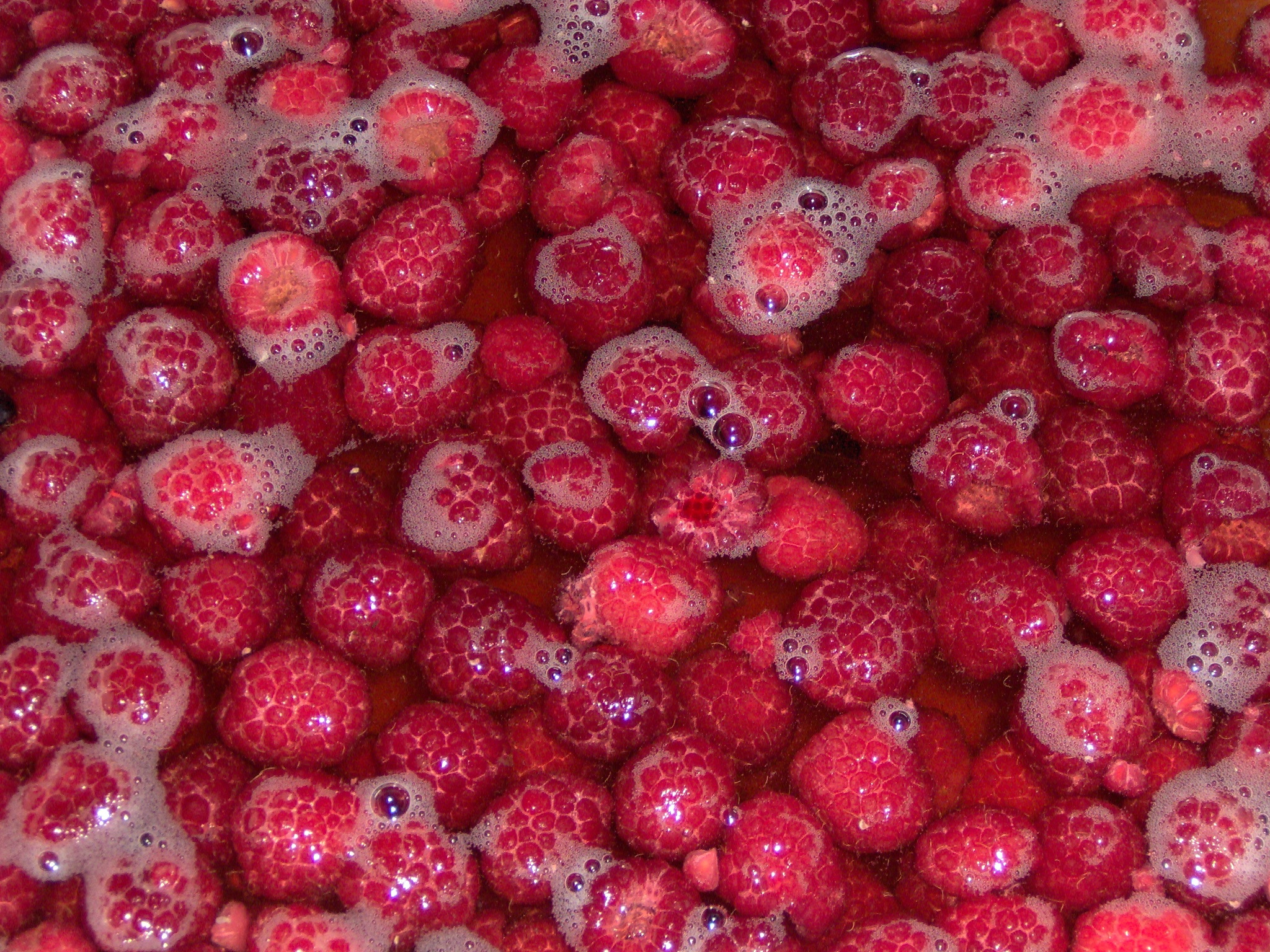 Raspberries Red Washing free image download