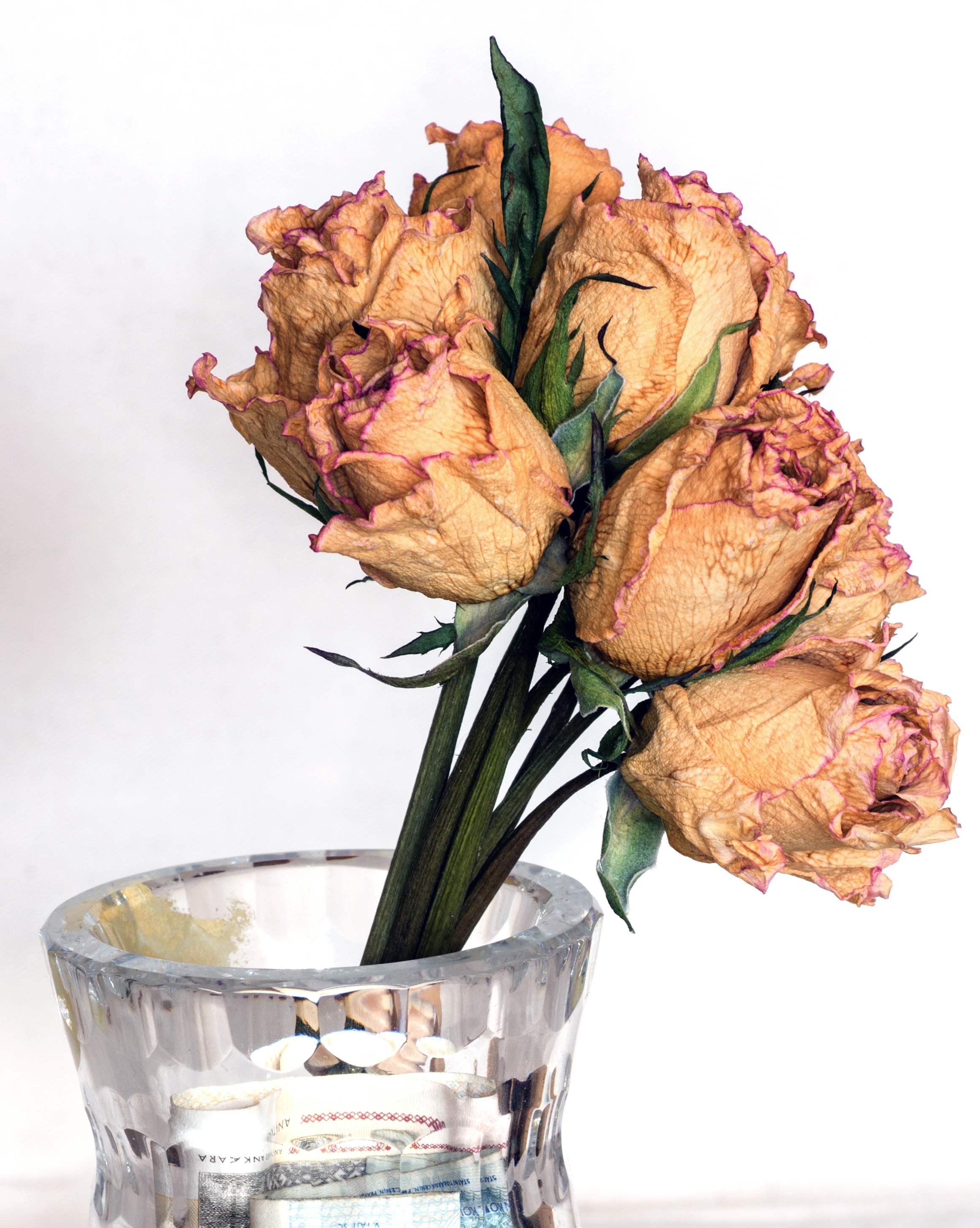 Dried Flowers Roses Bouquet free image download