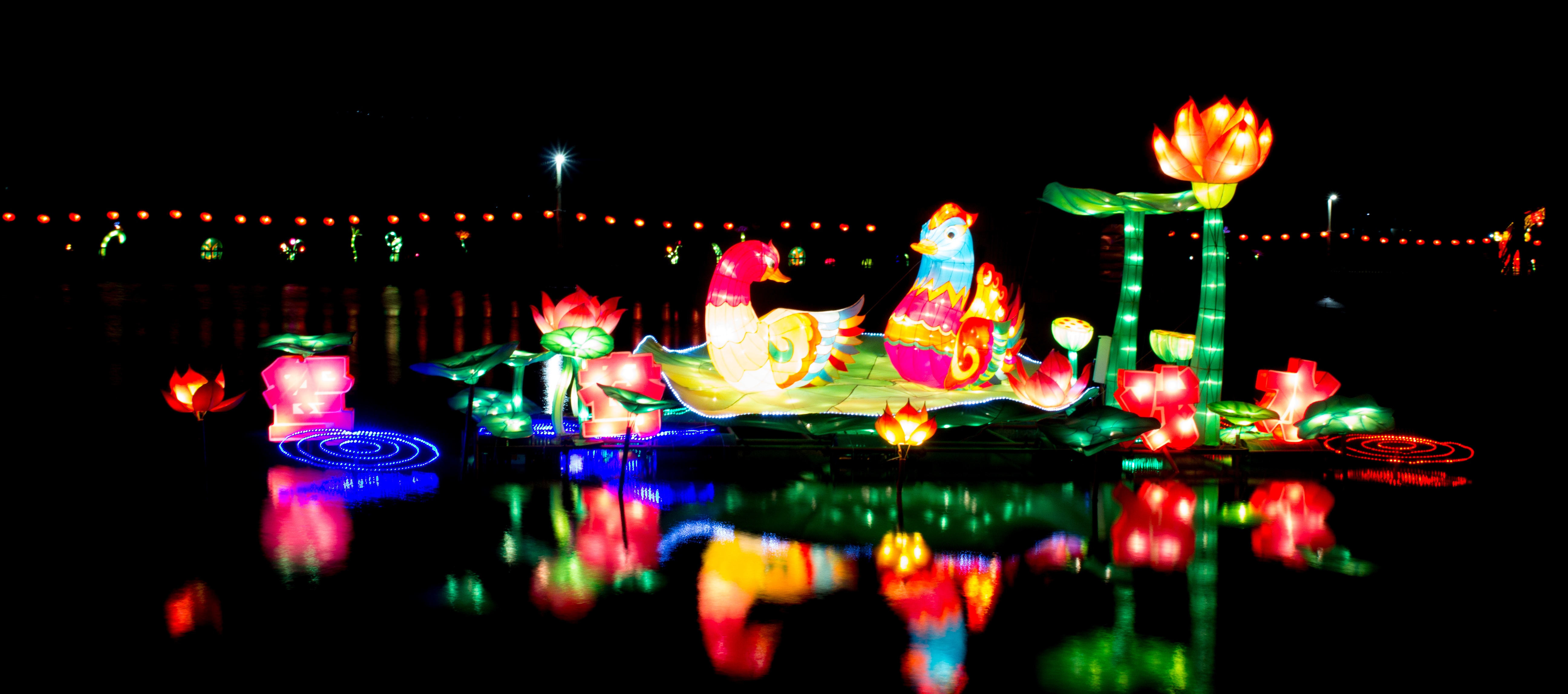 Lantern Festival Night light free image download