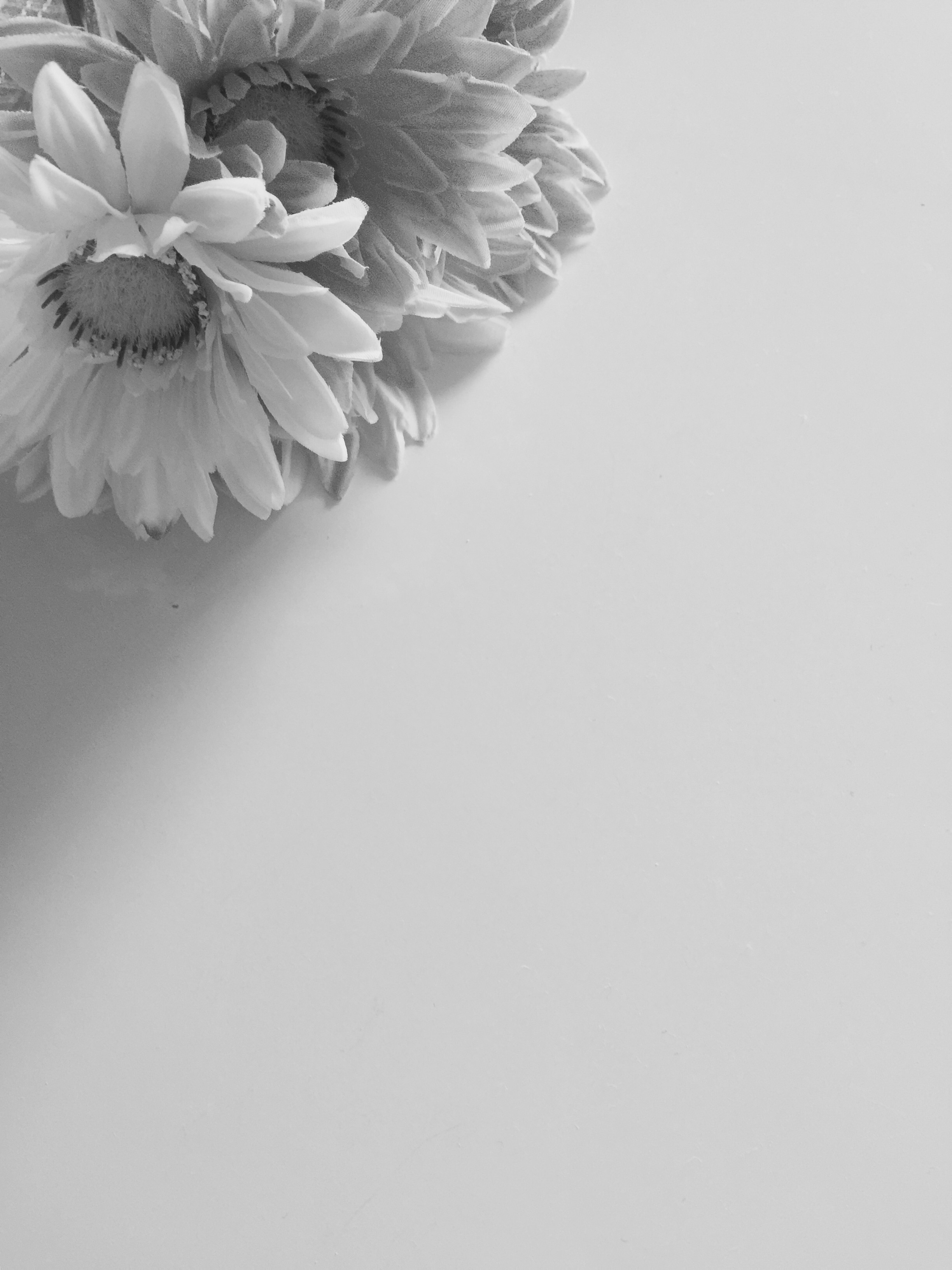 Flowers Black And White Romantic free image download