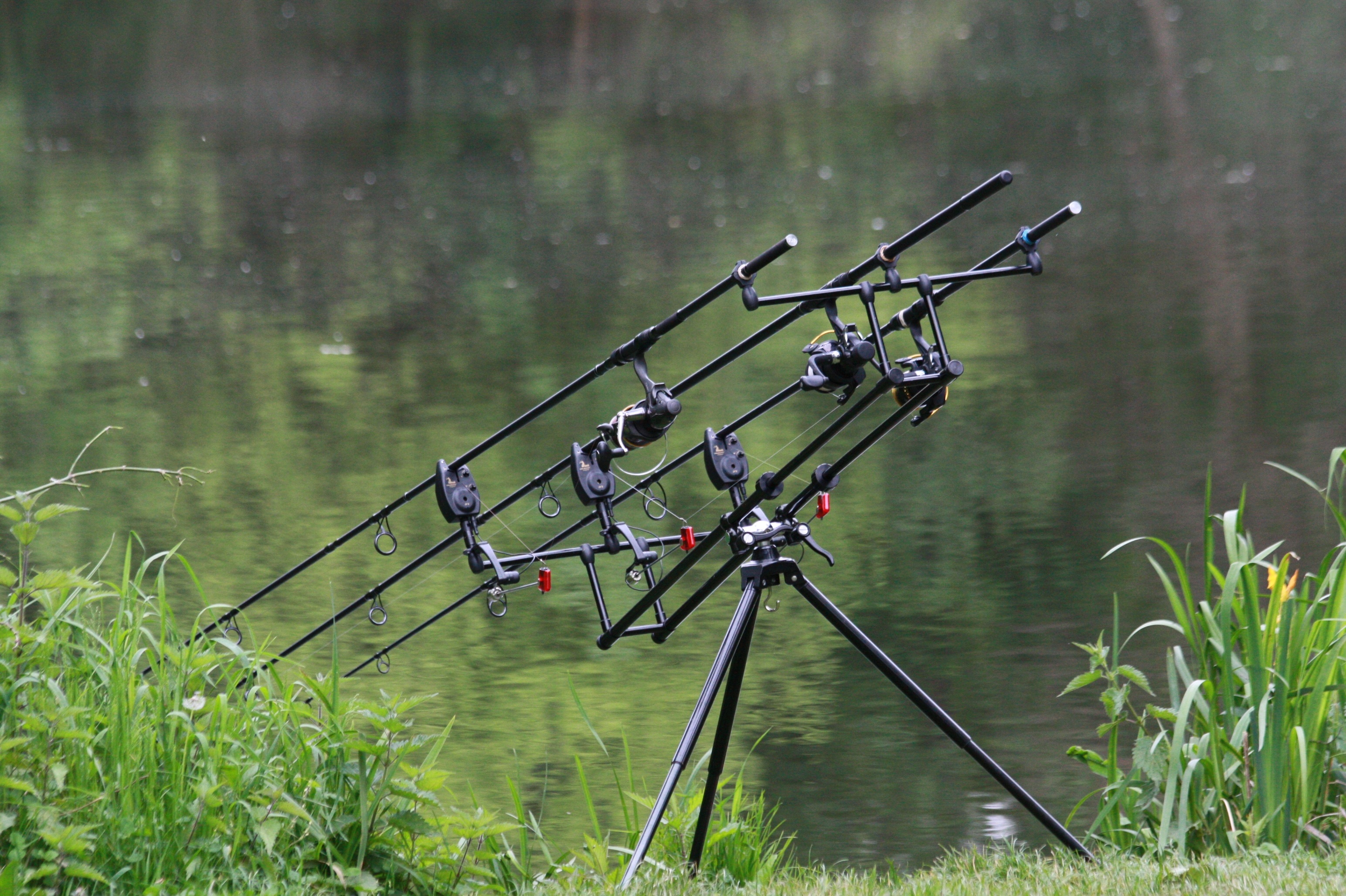 Fishing Rods Pond Green free image download