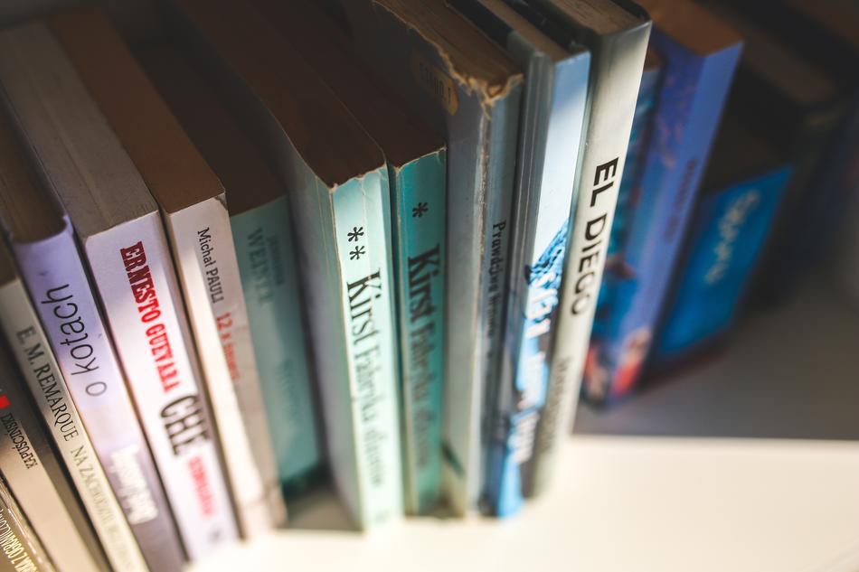 Shelf Book Books free image download