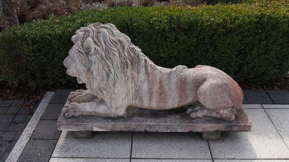 Lion Sculpture Stone Figure free image download
