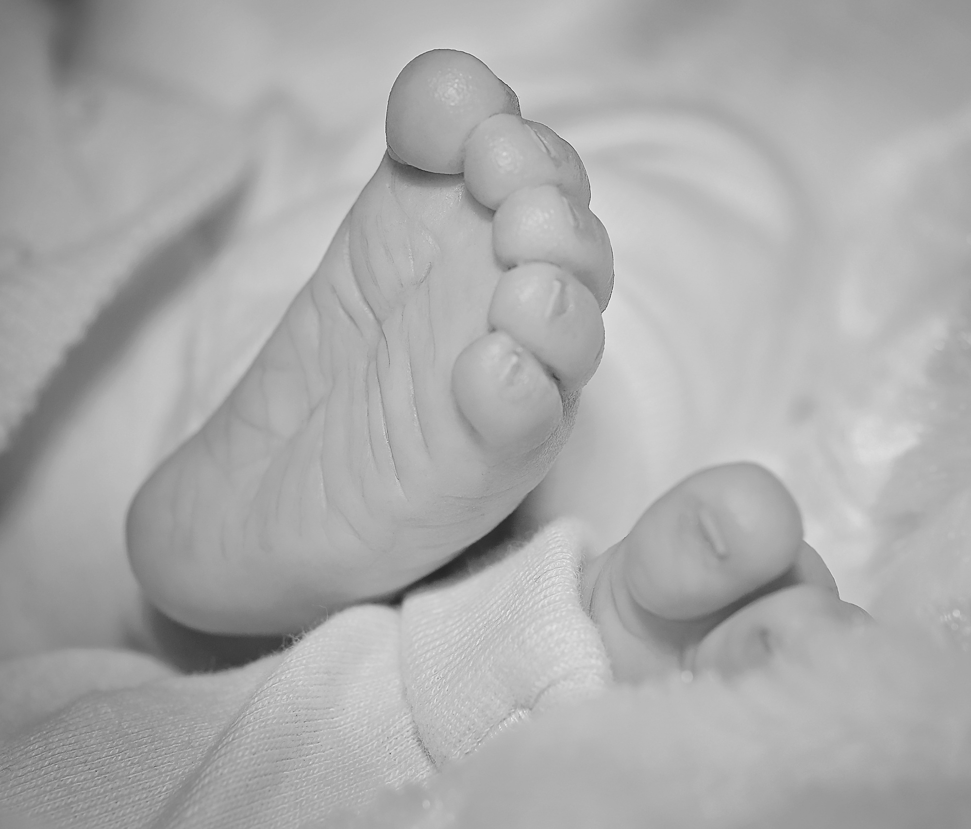 Feet Baby free image download