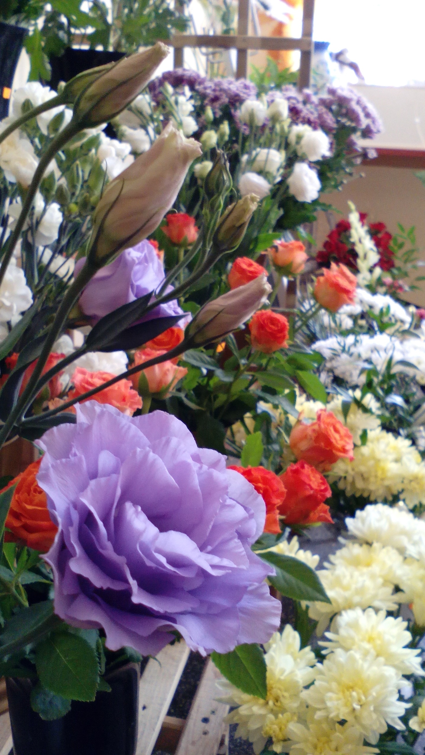 Flower Shop Flowers Colorful free image download