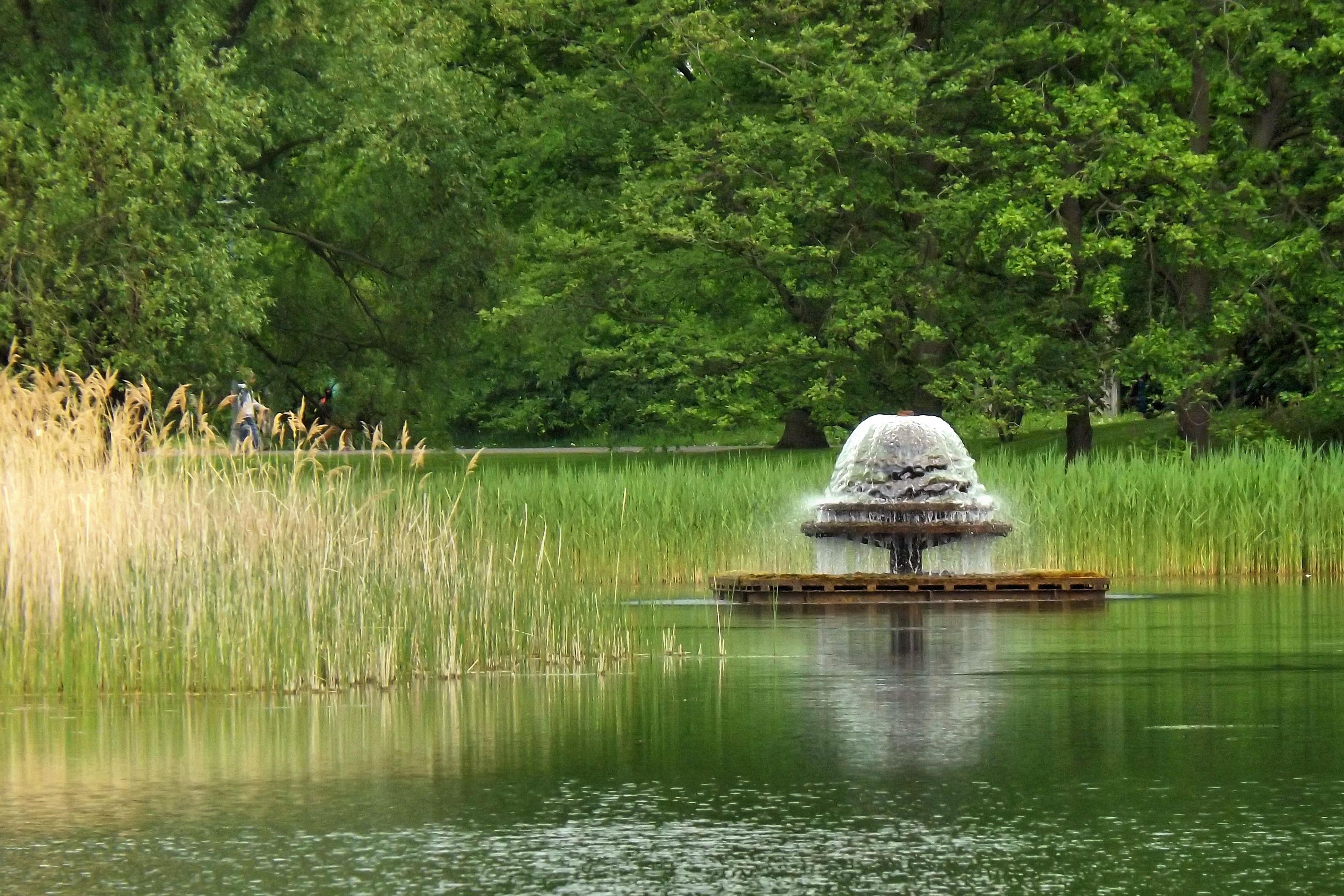 Fountain Park Water free image download
