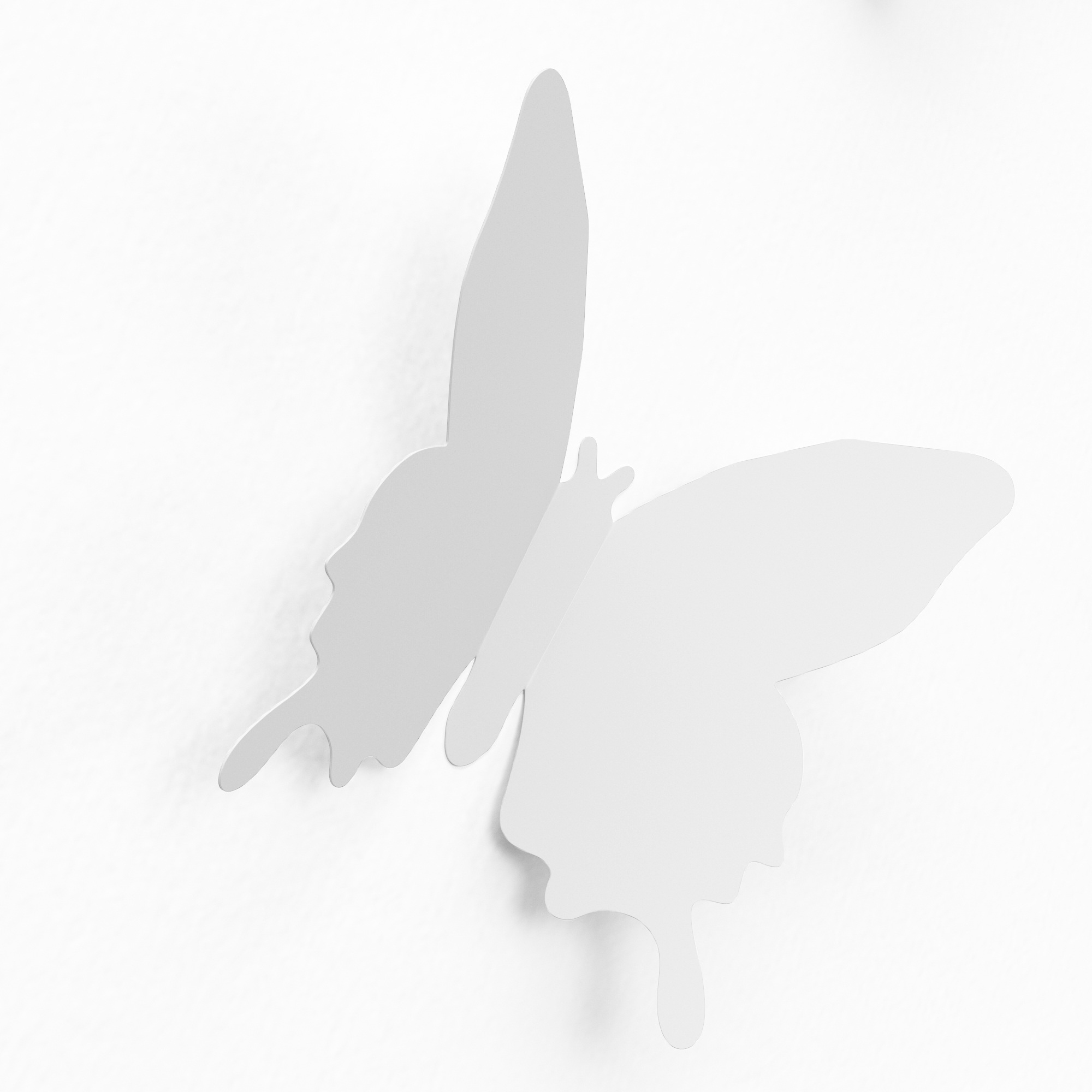 White Butterfly Wall Decoration free image download