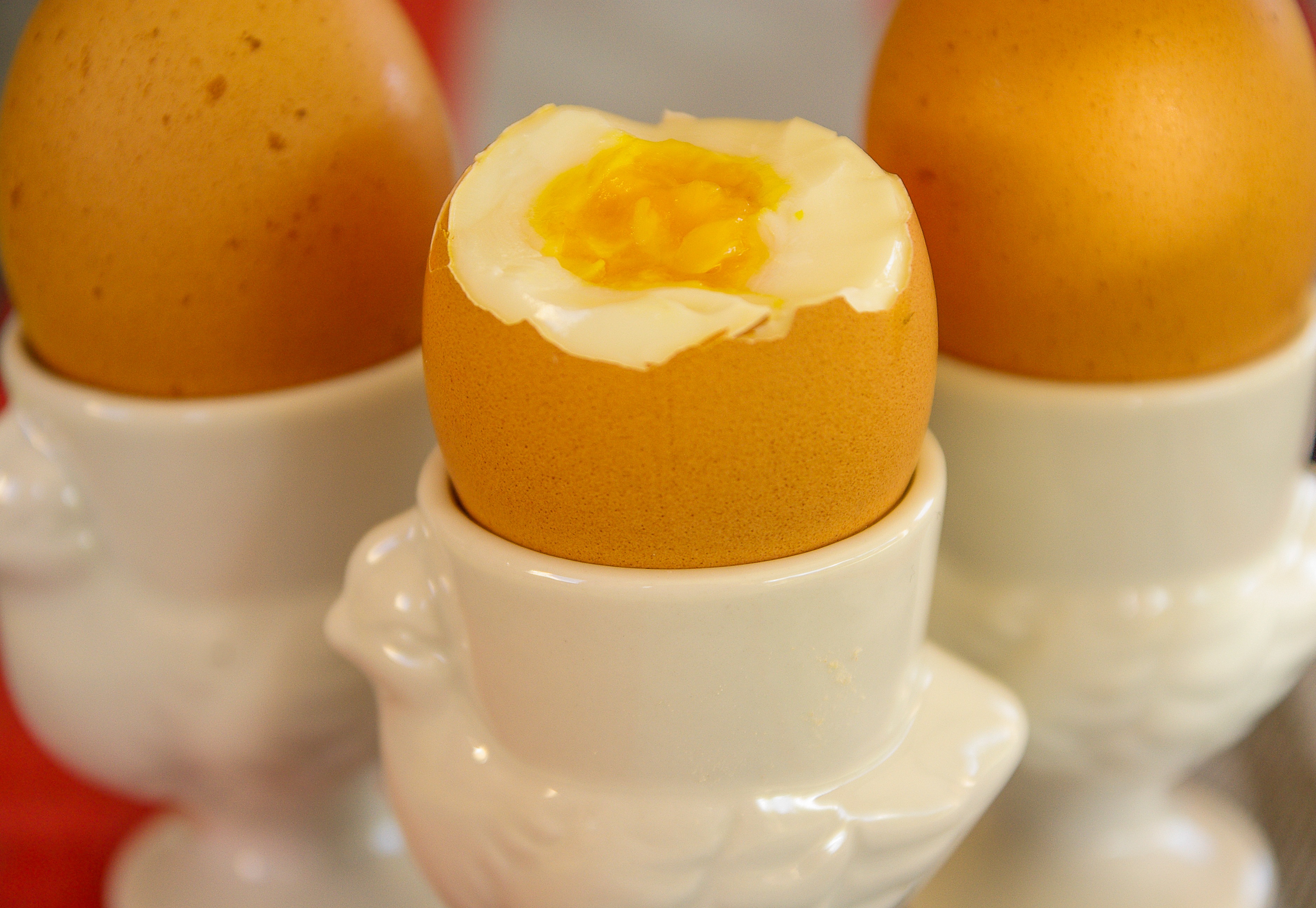 Hard boiled eggs in bowls free image download