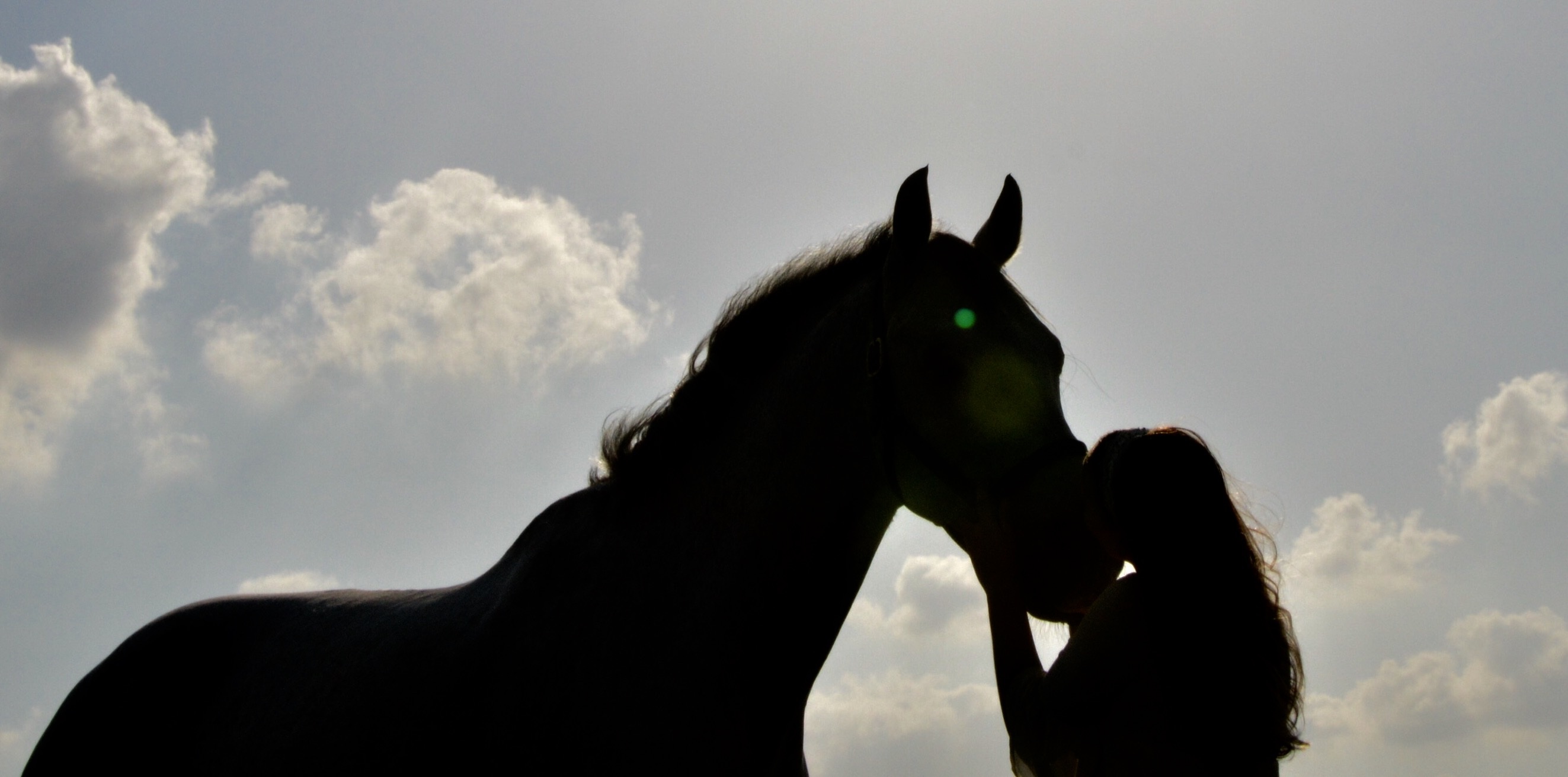 Horse Sunset Kiss free image download