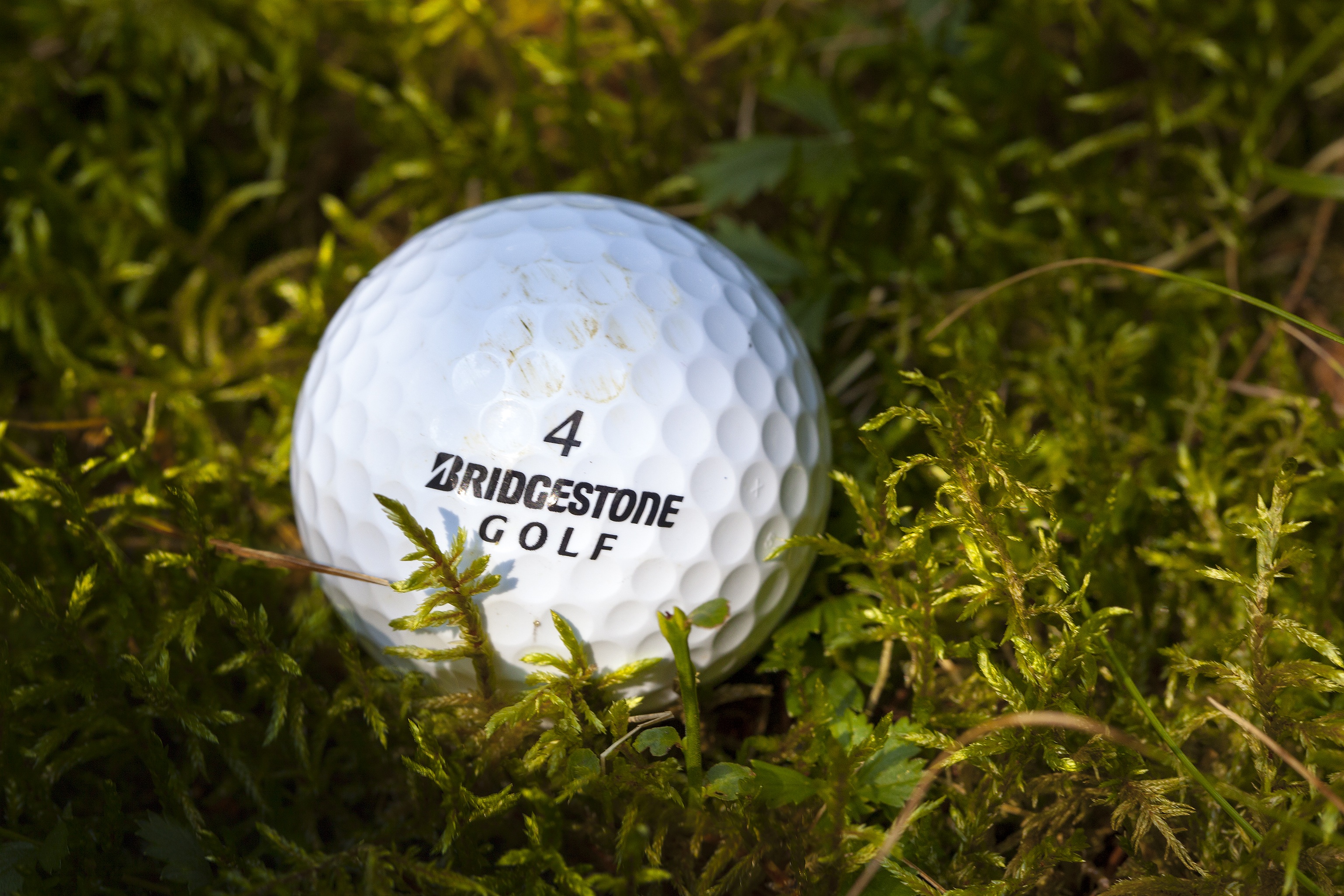 Lost Ball Golf Moss free image download
