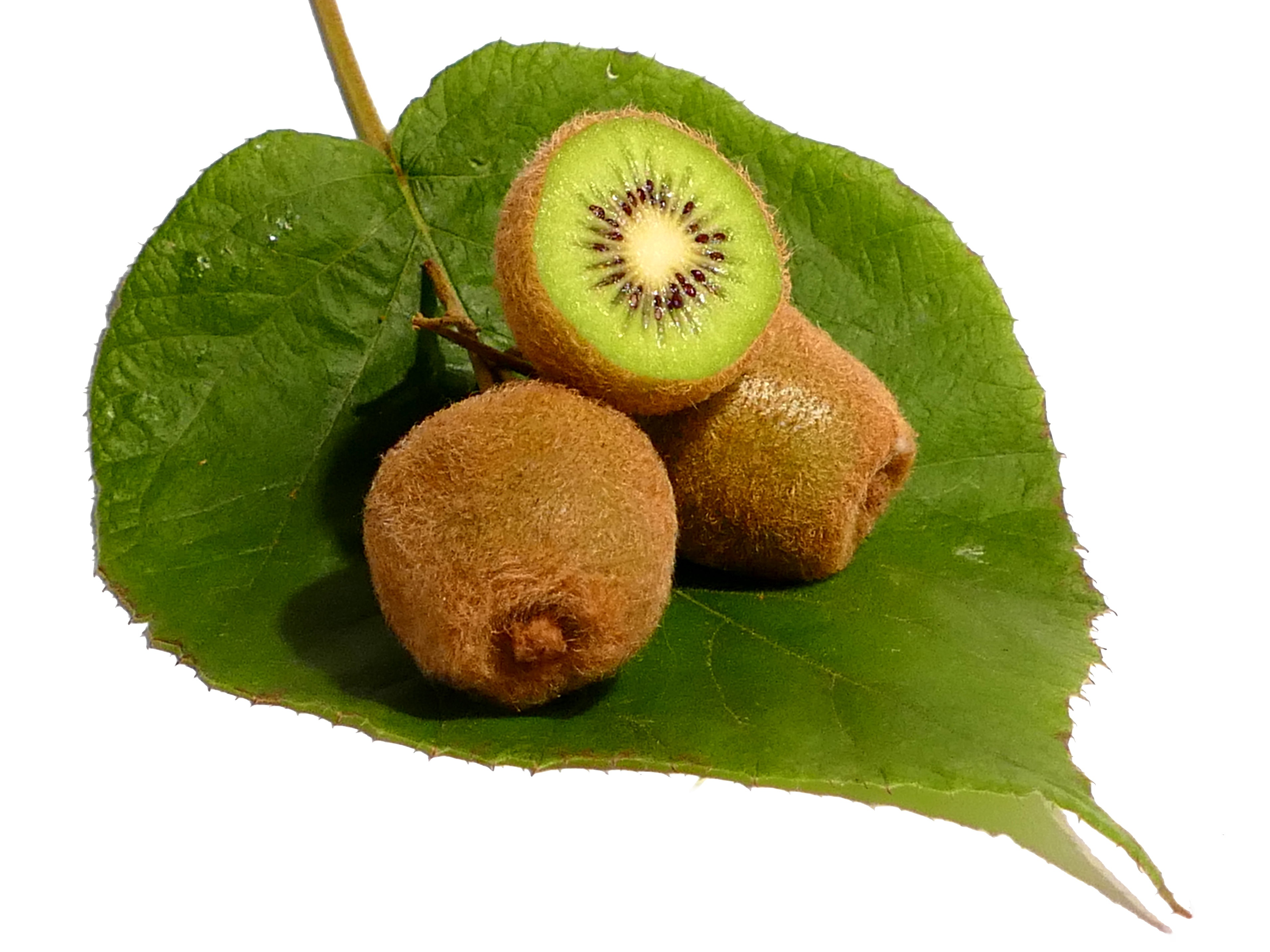 Kiwi Fruit Vitamins free image download
