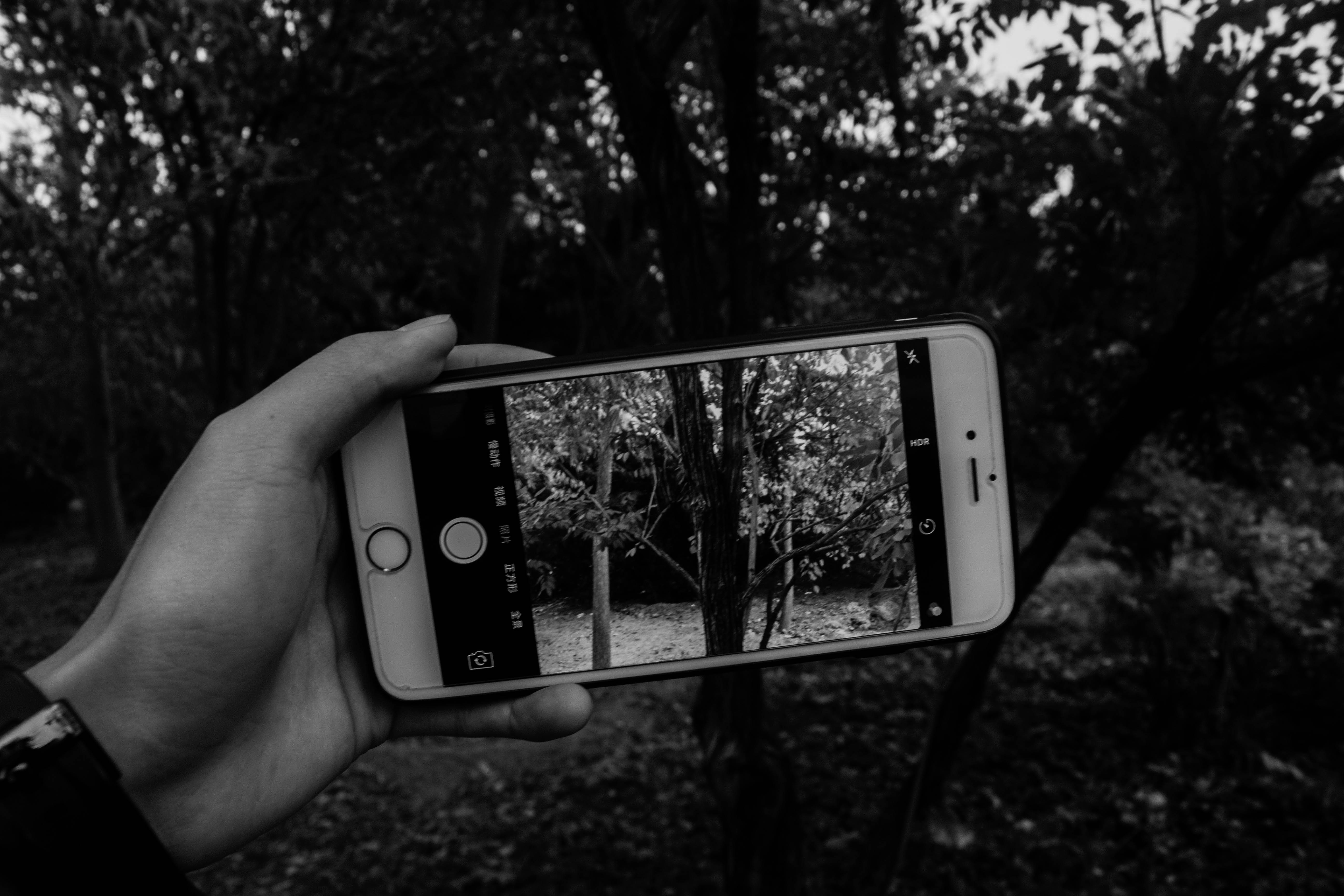 Black And White Mobile free image download
