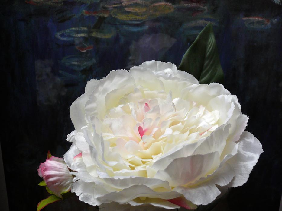 Artificial Flowers White Blossom free image download